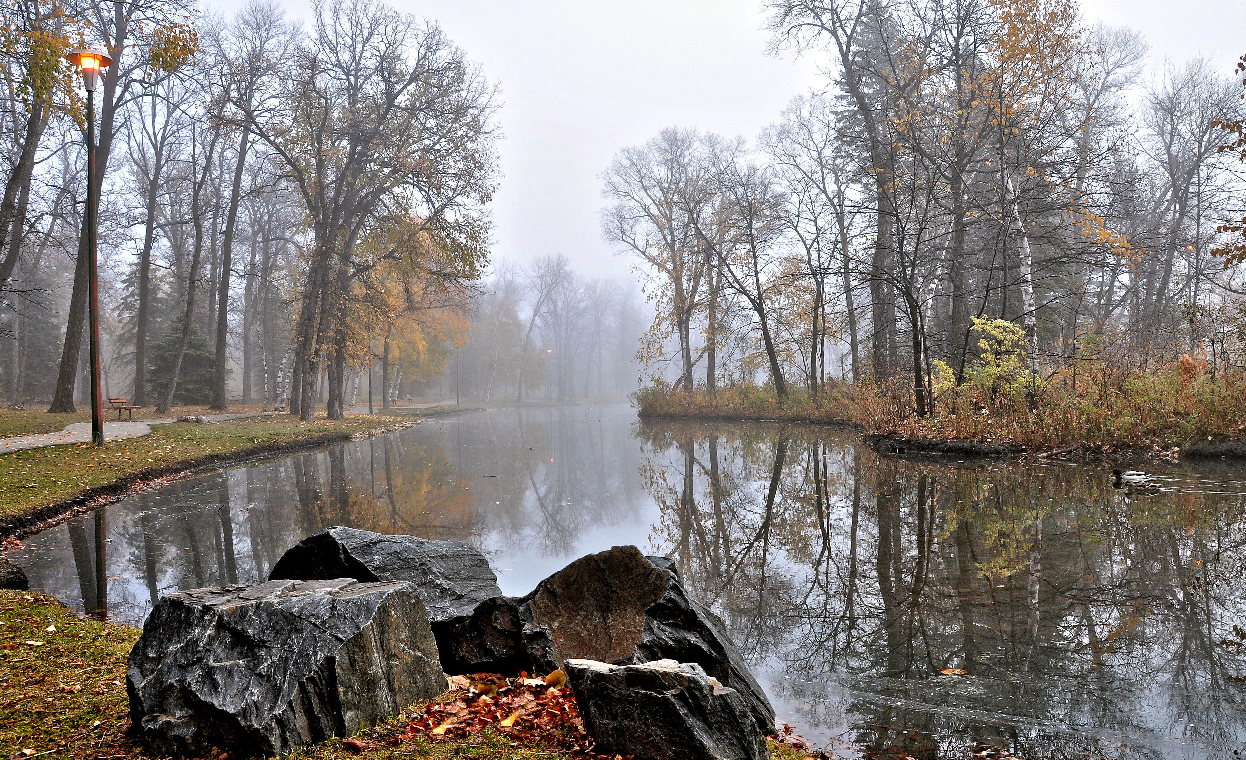 Ноябрь. Дудергофский парк поздняя осень. Поздняя осень в Монрепо. Парк Якутова поздняя осень. Осень парк пруд.