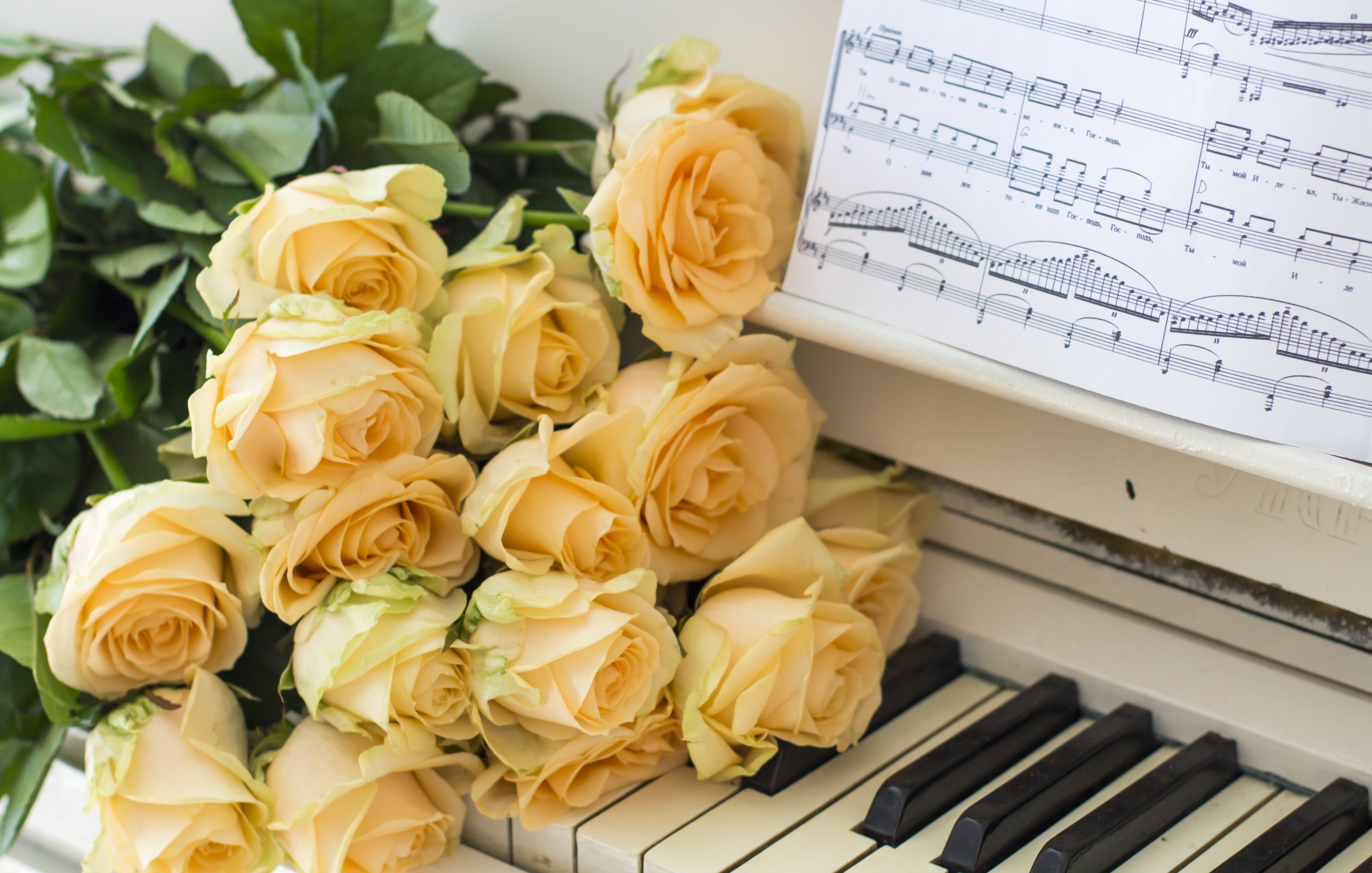Поздравительная открытка песня. Цветы на рояле. Музыкальный букет цветов. Цветы для музыканта. Цветы на пианино.