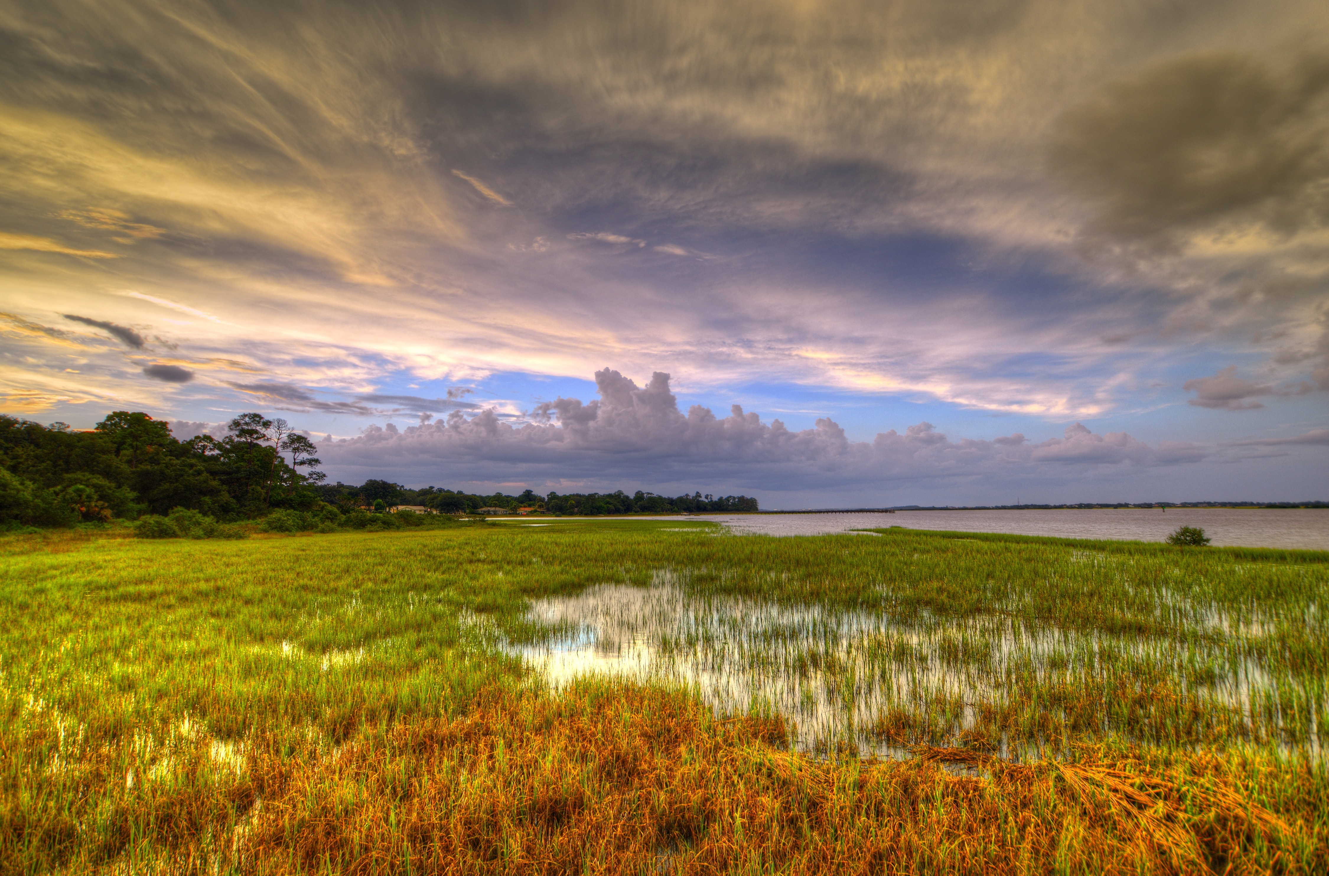 Природа 34. Природа Remi. Обои 2400×1080 grass. Calm field.