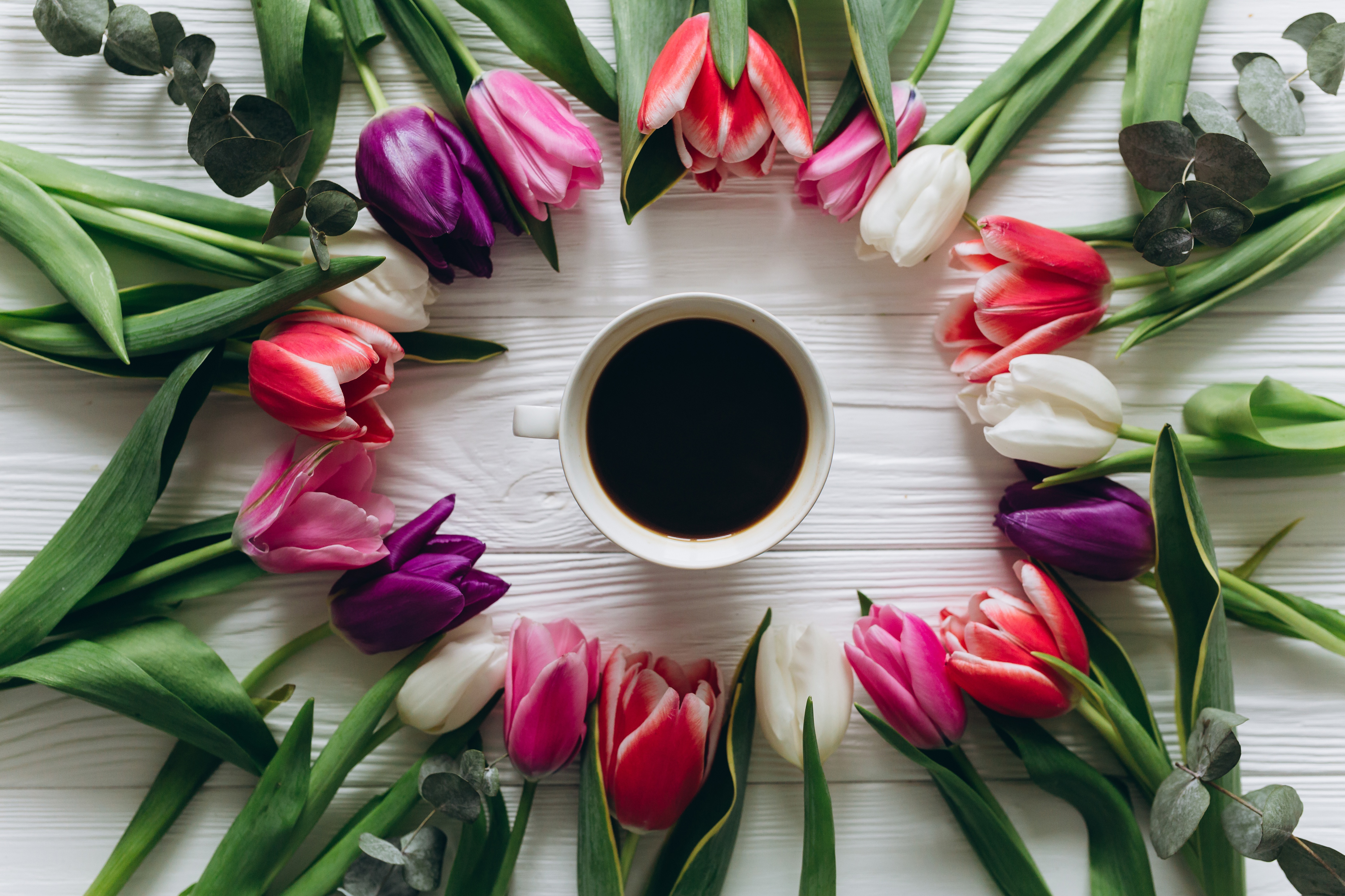 С добрым утром тюльпаны с пожеланиями красивые. Весенние тюльпаны. Стильные тюльпаны. Чайные тюльпаны. Чашка кофе с букетом тюльпанов.