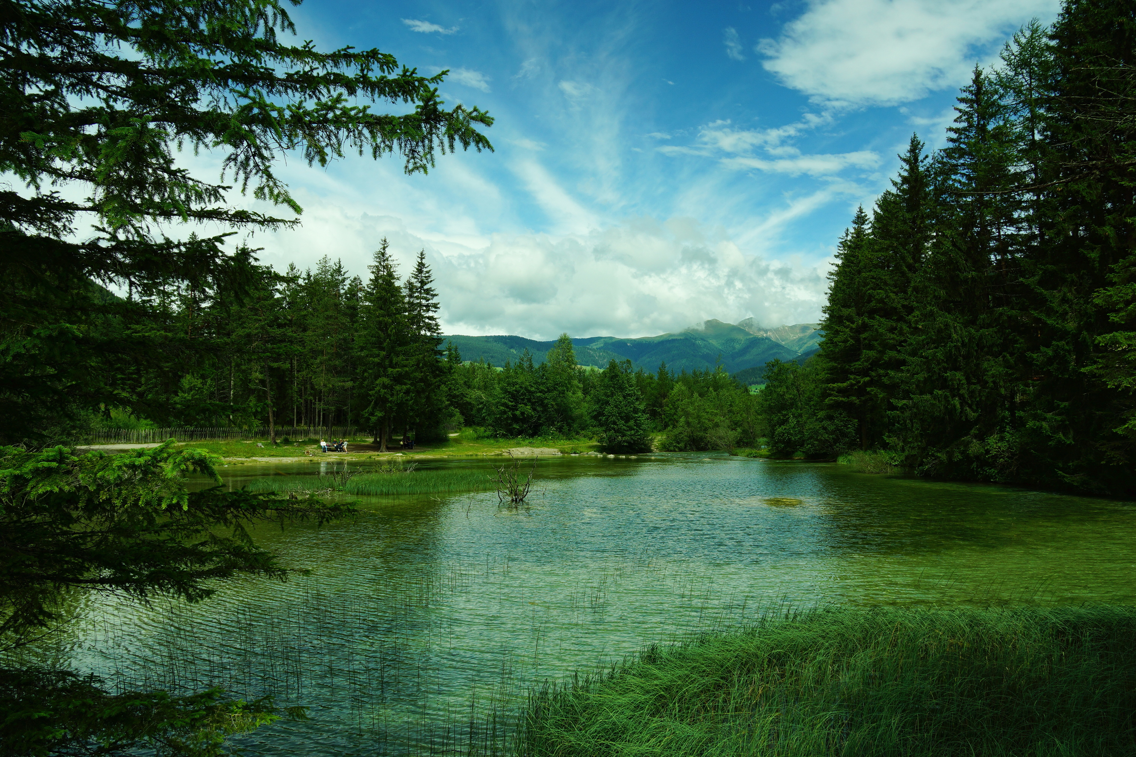 Картинка красивое озеро. Озеро в лесу. Природа озеро. Природа лес озеро. Лето лес озеро.