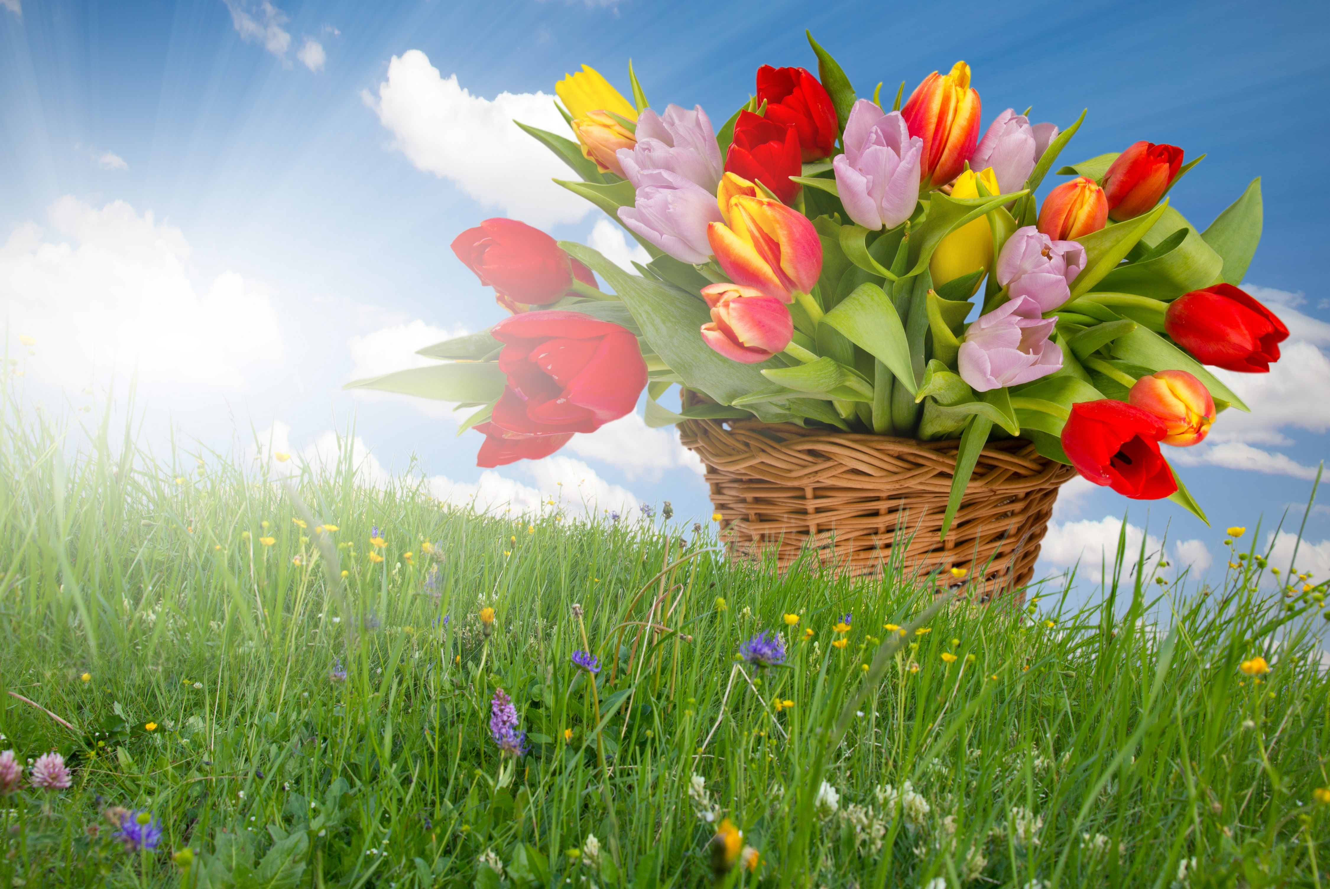 Красивая весенняя открытка с пожеланиями здоровья. Весенний букет. Букет весенних цветов. Корзина с весенними цветами.