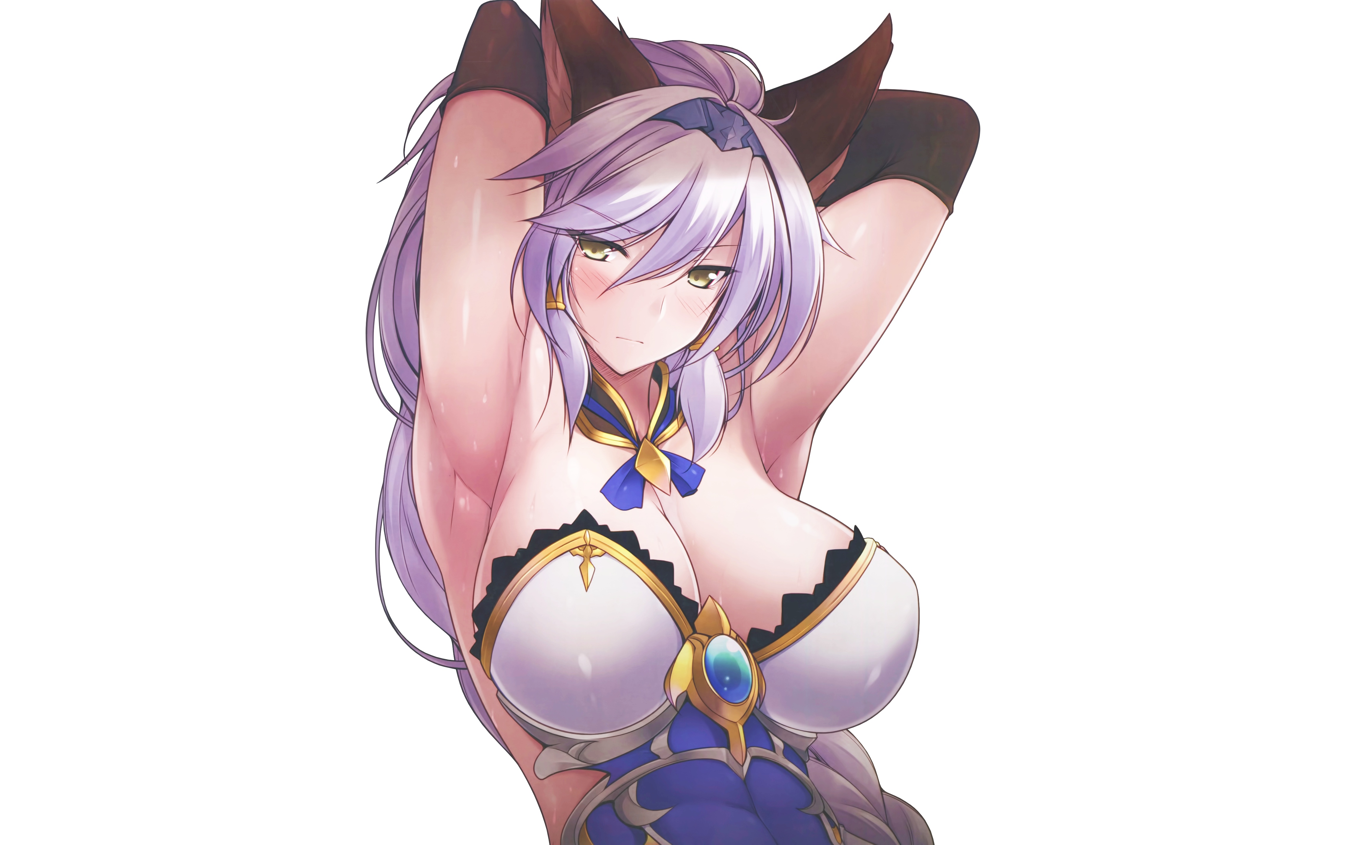 Download wallpaper anime, breats, armpits, big breasts large breasts,  granblue fantasy, cat eras, arm up, section seinen in resolution 4578x2861