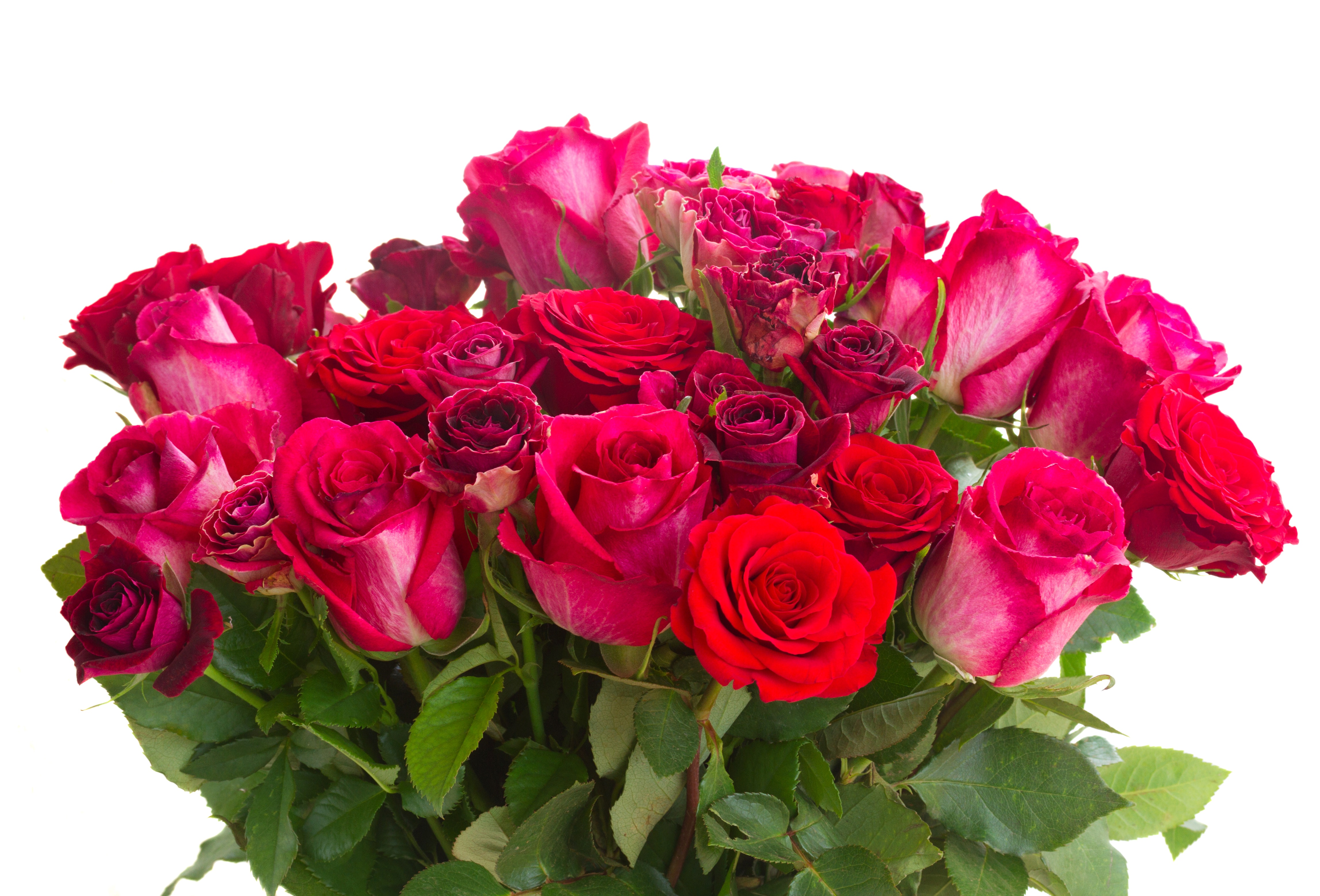 Поздравление с днем рождения открытки букет. Шикарные цветы. Букет роз. Красивый букет роз. Красивый букет цветов с днем рождения.