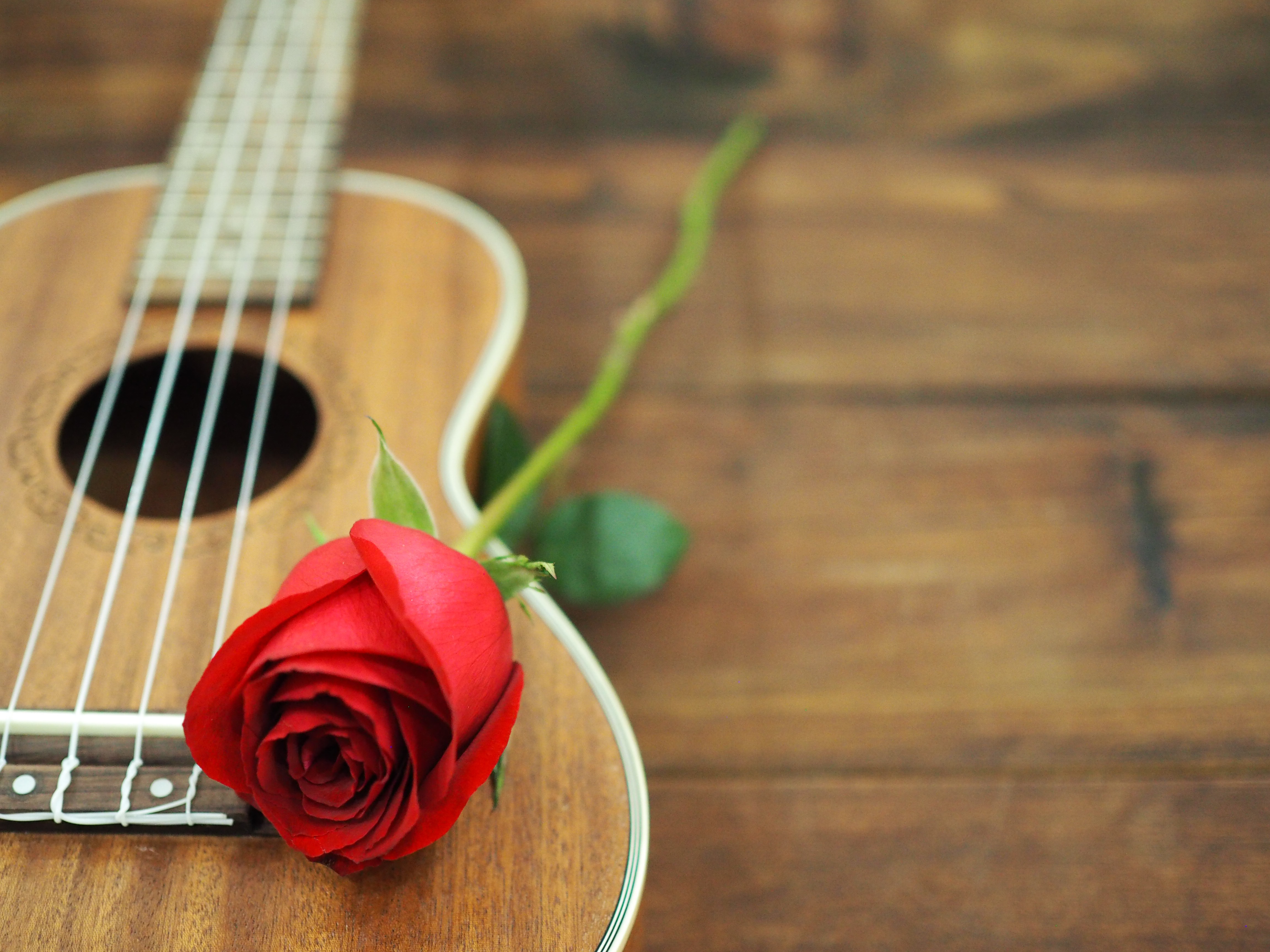 Слушать мелодию без слов красивую для души. Гитара цветы. Музыкальный цветок. Музыкальный букет цветов. Акустическая гитара обои.