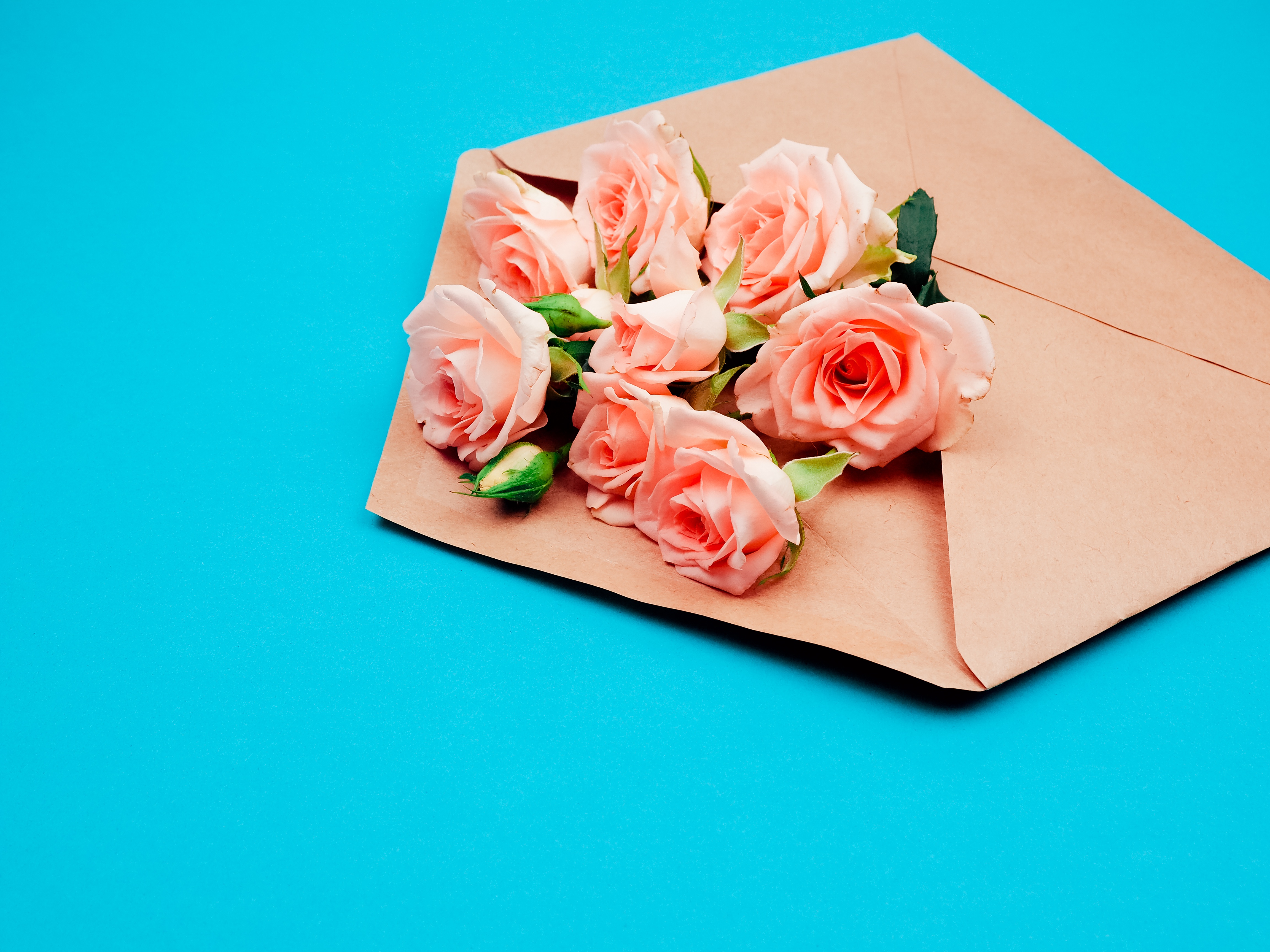 Конверт для цветов из бумаги. Конверт с цветами. Цветы в конверте. Красивый конверт. Композиция в конверте розы.