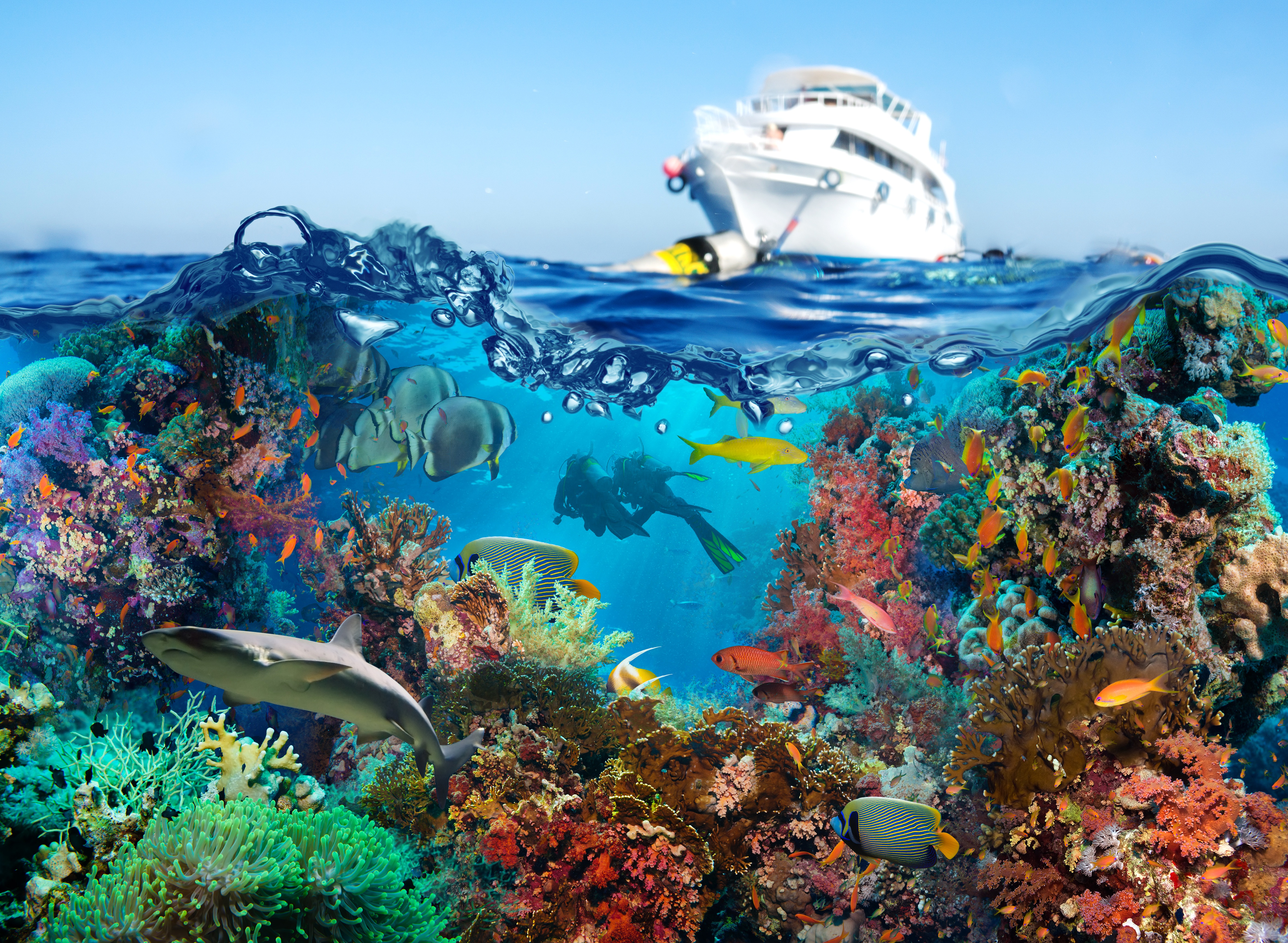 Природа подводный мир. Подводный мир. Морские глубины. Подводный мир океана. Рифы в море.