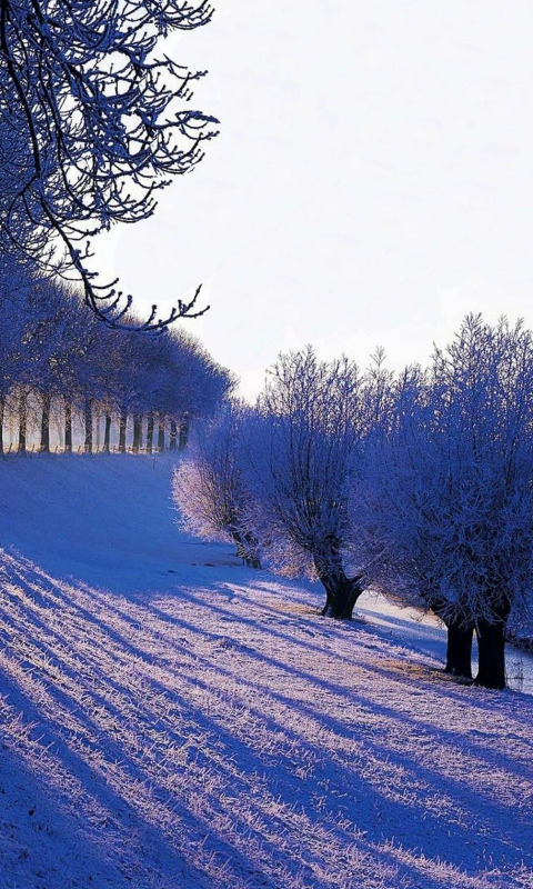 winter, the sky, the sun, snow, landscape, nature, mountain, white
