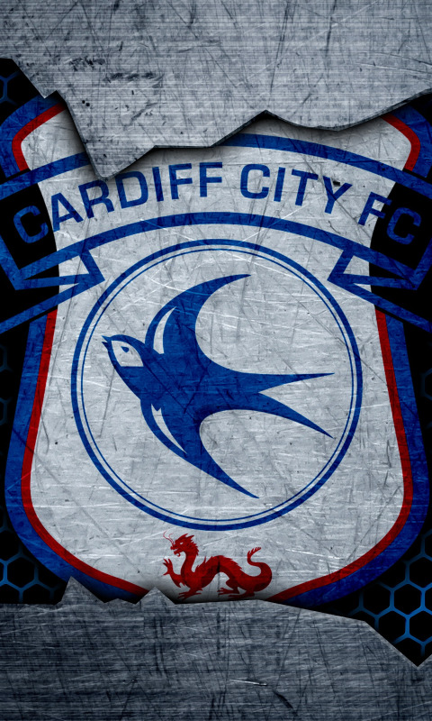 Cardiff City is the capital and largest city in Wales and the tenth largest  city in the United Kingdom Stock Photo - Alamy