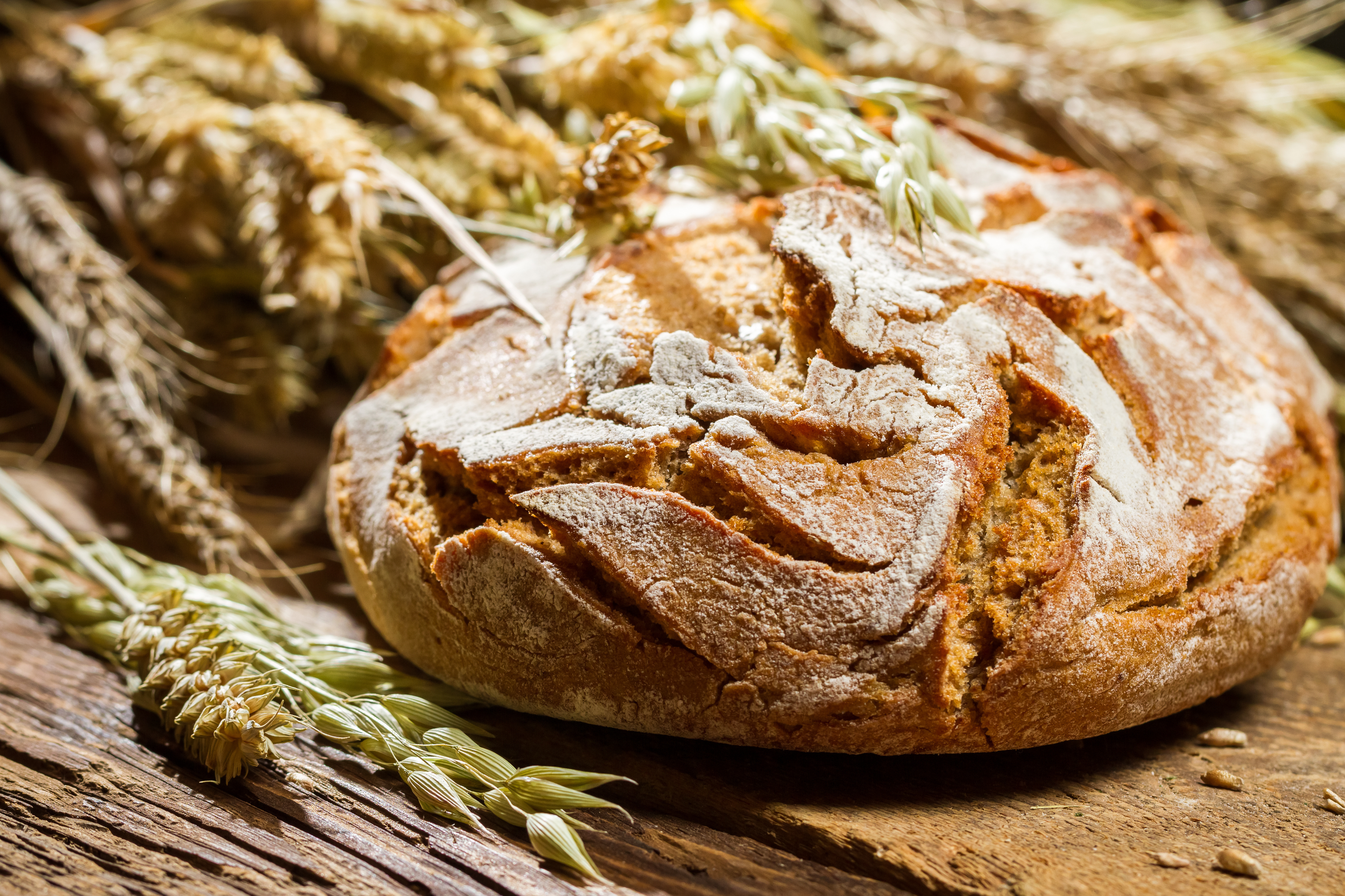 Собранный хлеб 4. Коврига хлеба. Красивый хлеб. Хлеб жито. Немецкий хлеб.