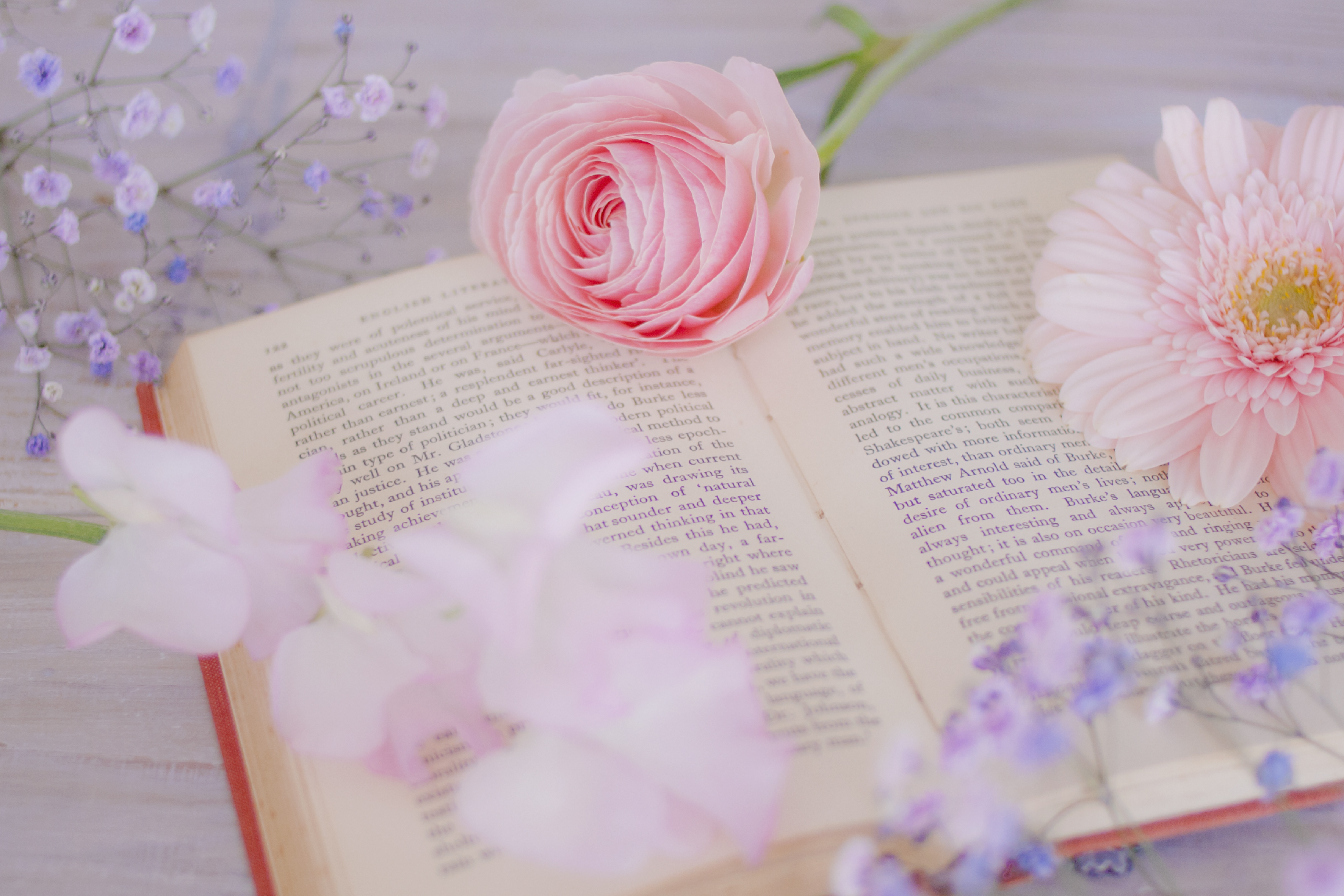 Самые трогательные стихи книги и картины. Книга цветы. Книга с цветами. Книги на фоне цветов. Фон книги.