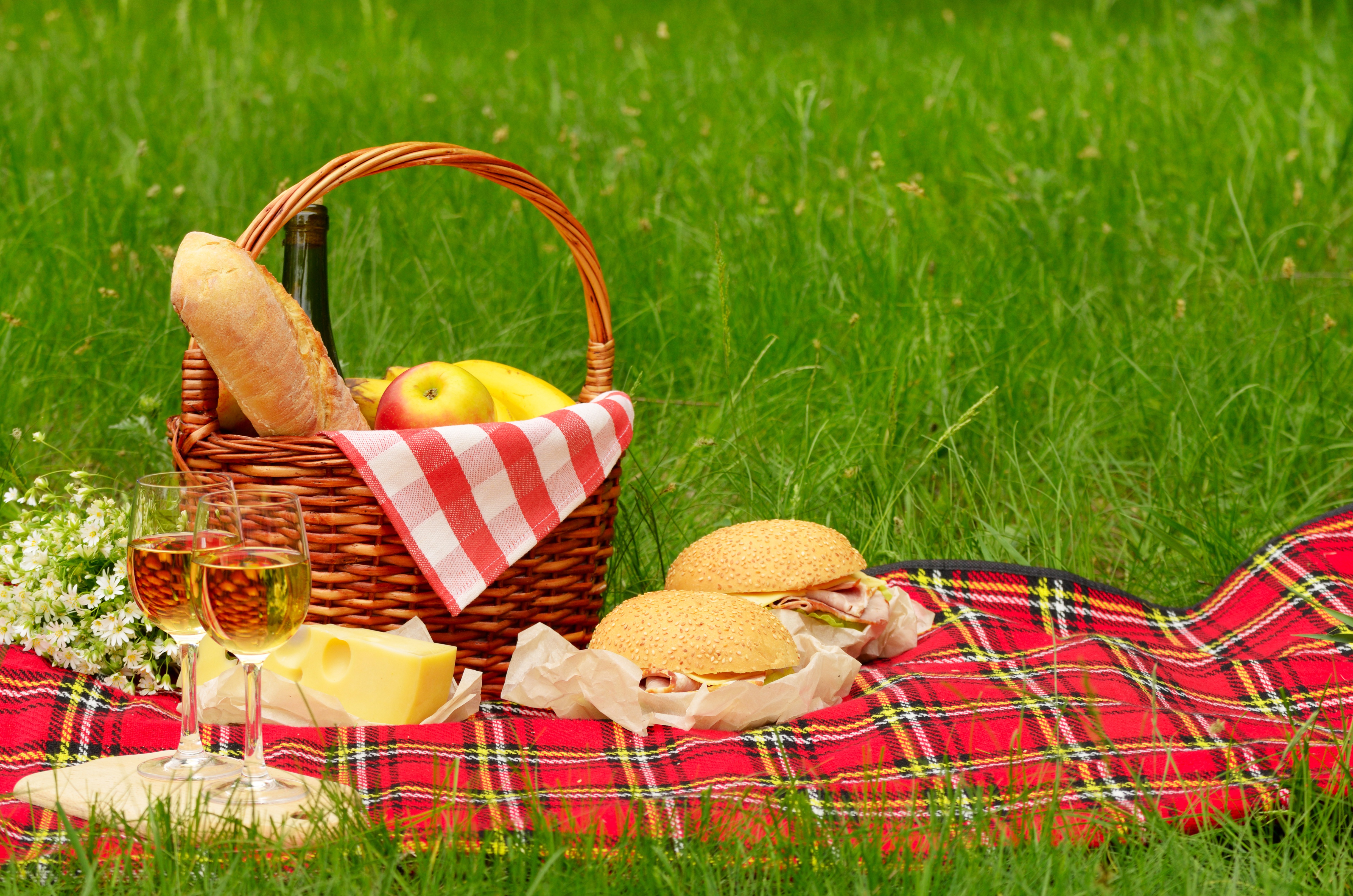 You going on a picnic on sunday. Корзинка для пикника на природе. Корзина для пикника с едой. Корзинка с продуктами для пикника. Пикник на природе.