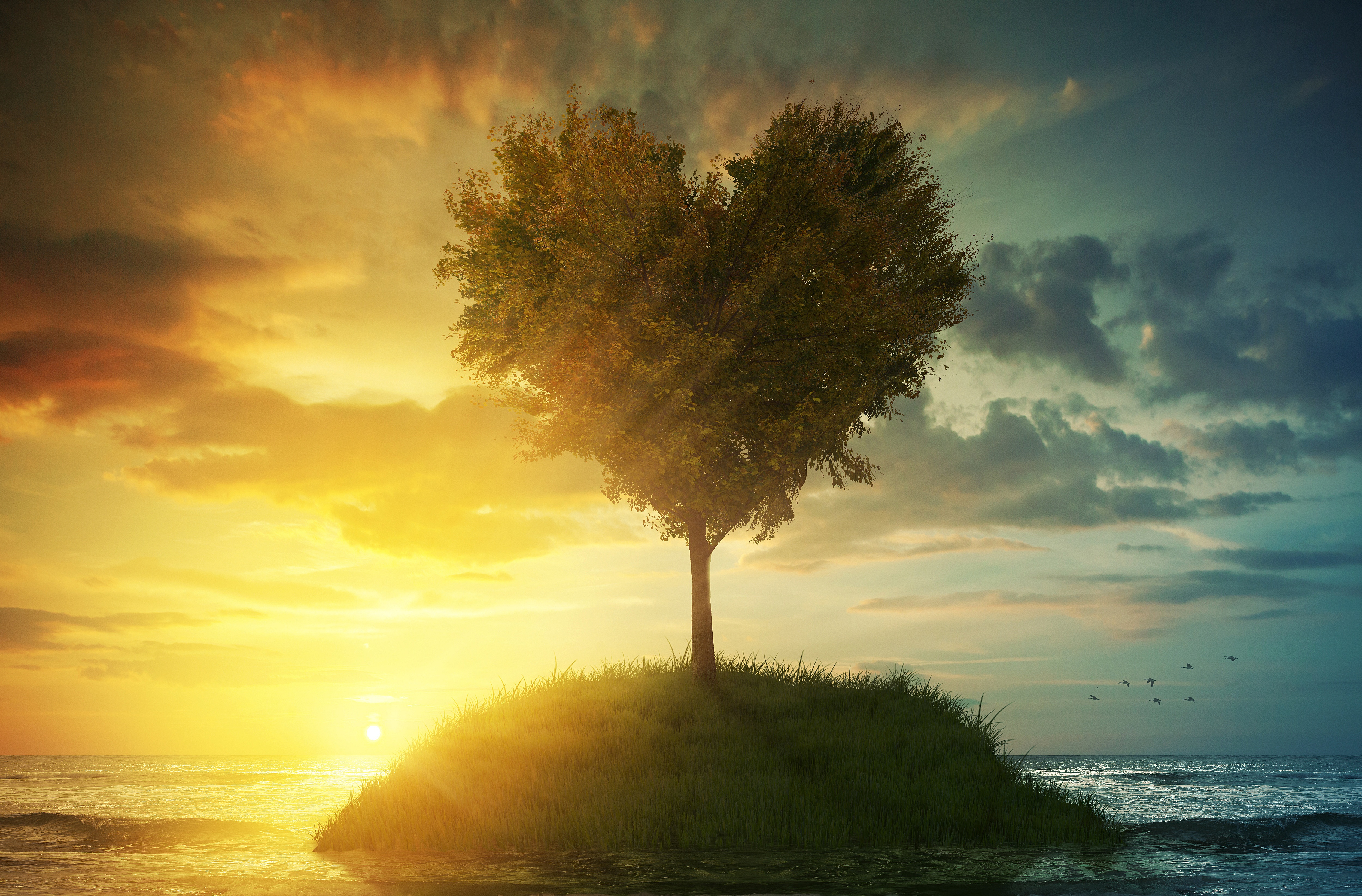 Пейзаж любви. Одинокое дерево. Рассвет на море дерево. Красивая природа любовь.