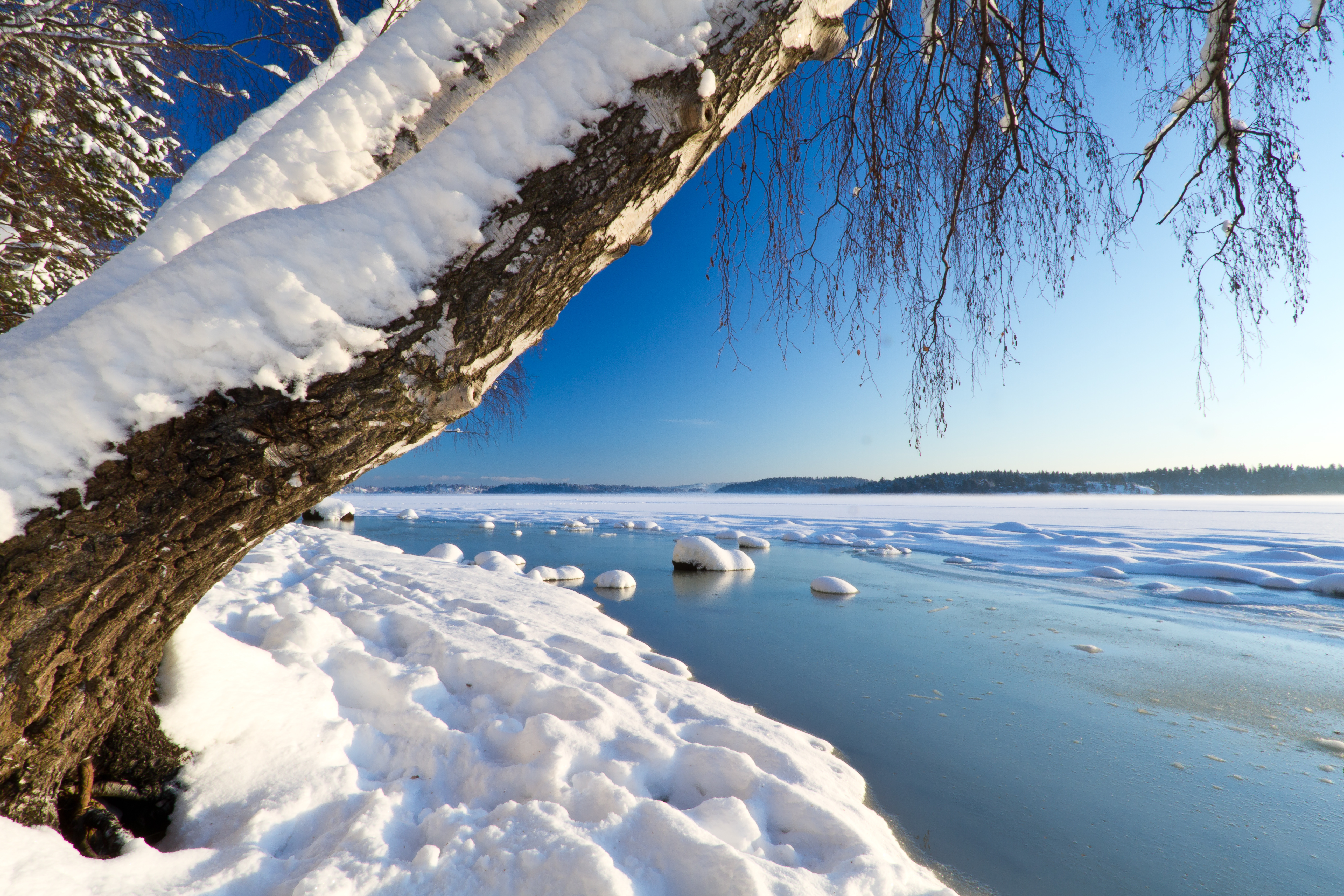 Сильный утренний мороз сковал ручьи. Таяние снега. Зима река. Зима озеро.