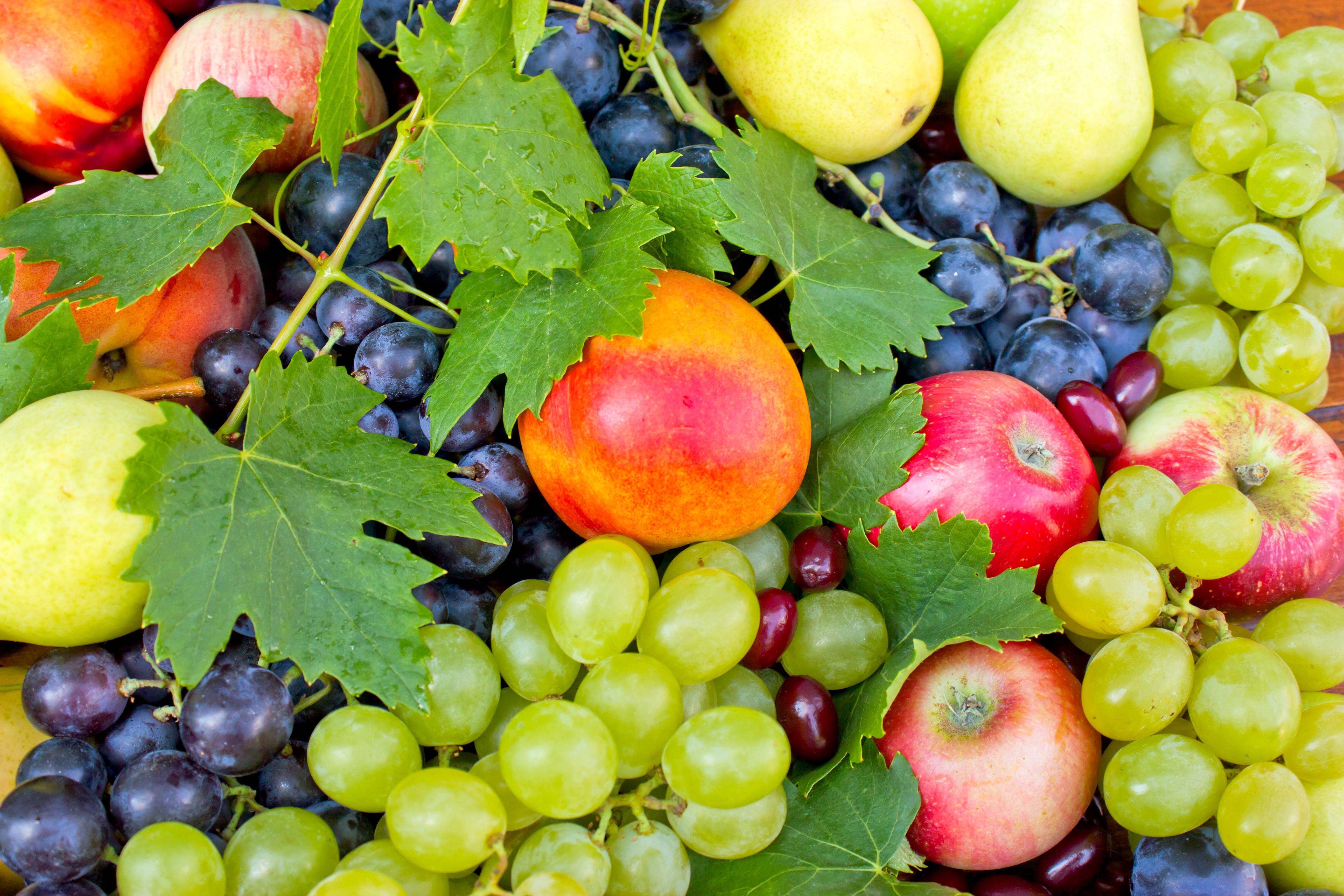 Сады фруктов овощей. Фрукты. Виноград и яблоки. Фрукты виноград. Фрукты яблоки виноград.