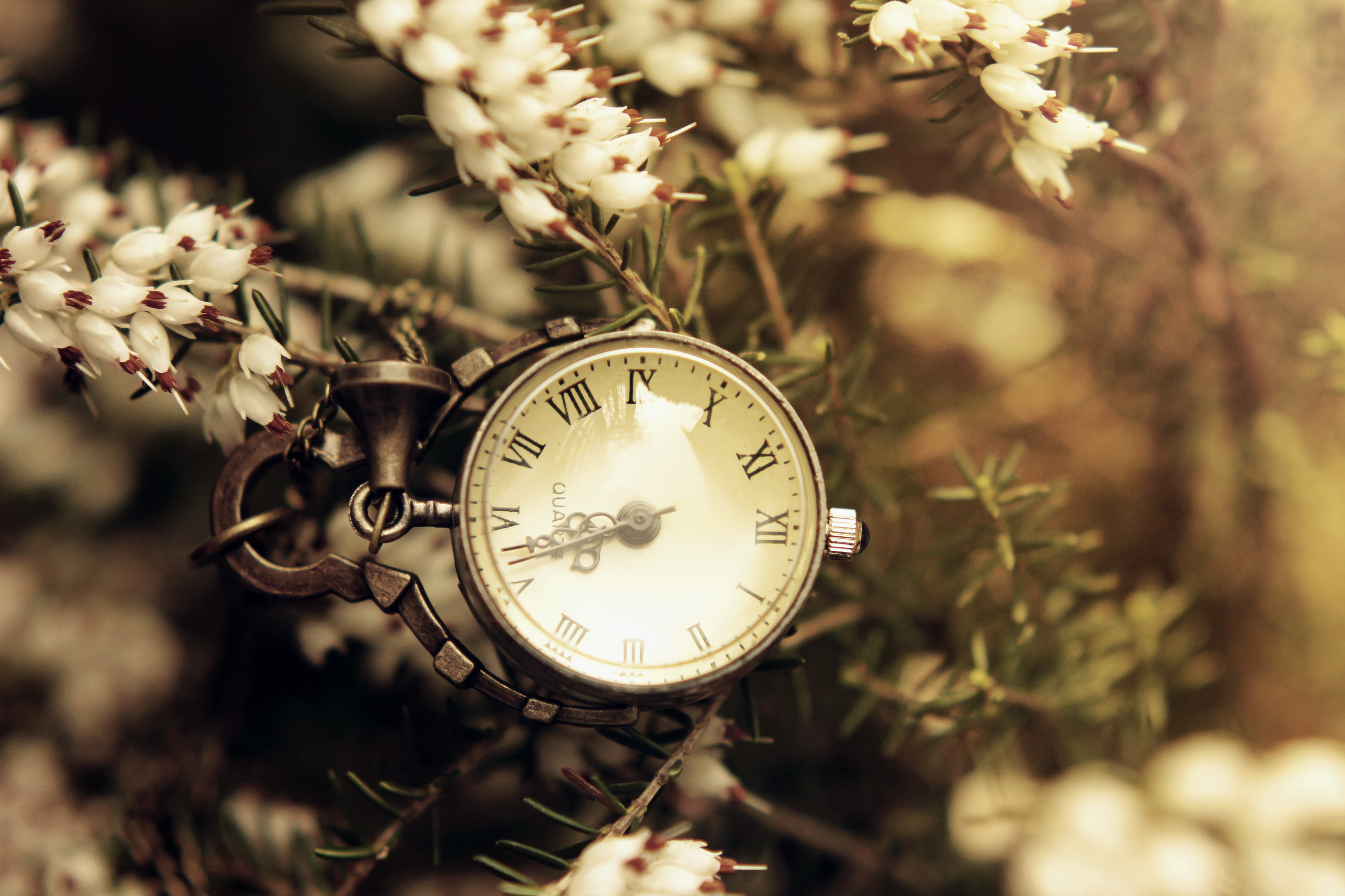 Мая мая часы часы часы песня. Старинные часы. Часы "цветок". Красивые ретро часы. Часы фон.