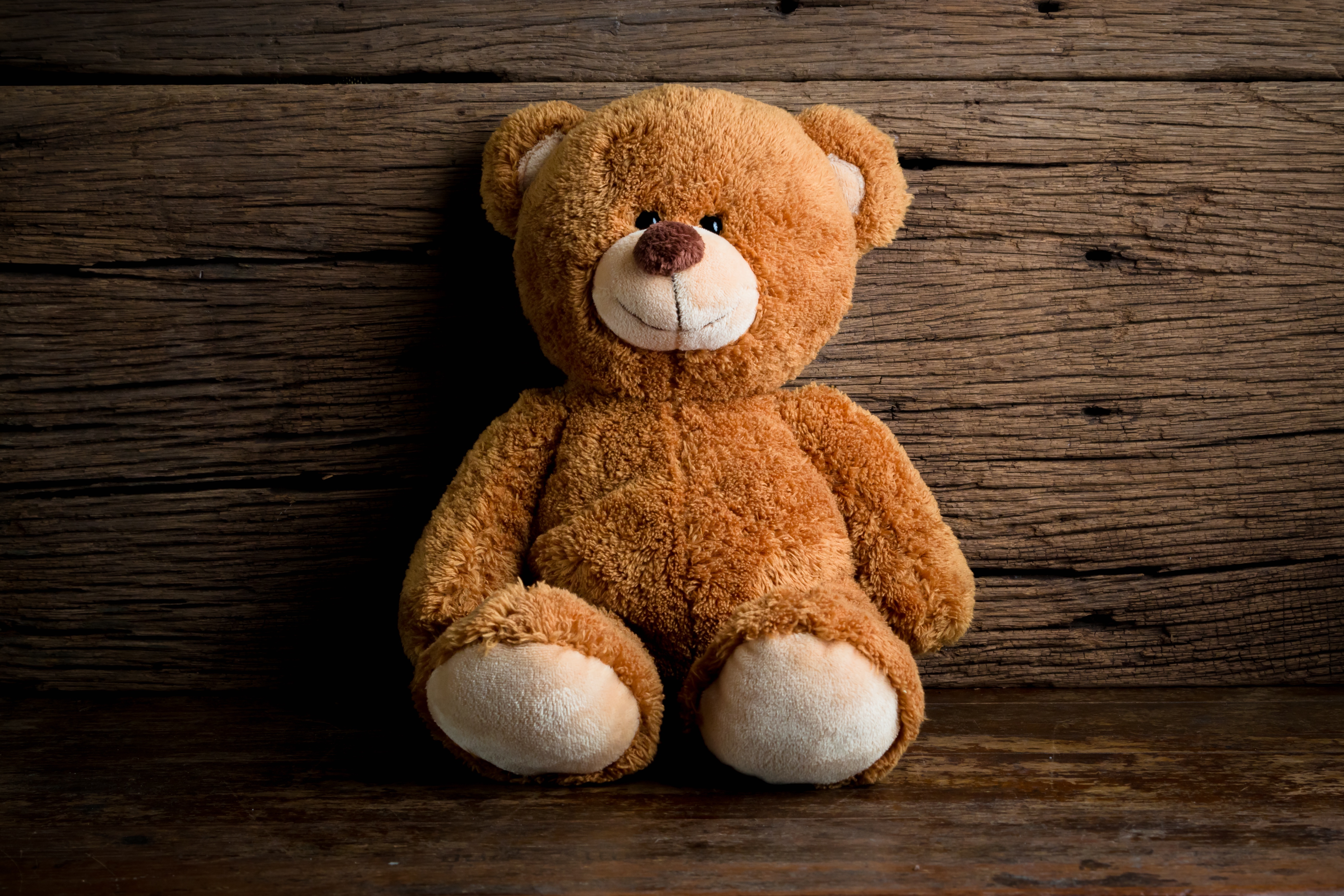 I m teddy bear. Тедди Беар. Плюшевый медведь. Мягкая игрушка «мишка». Плюшевый Медвежонок.