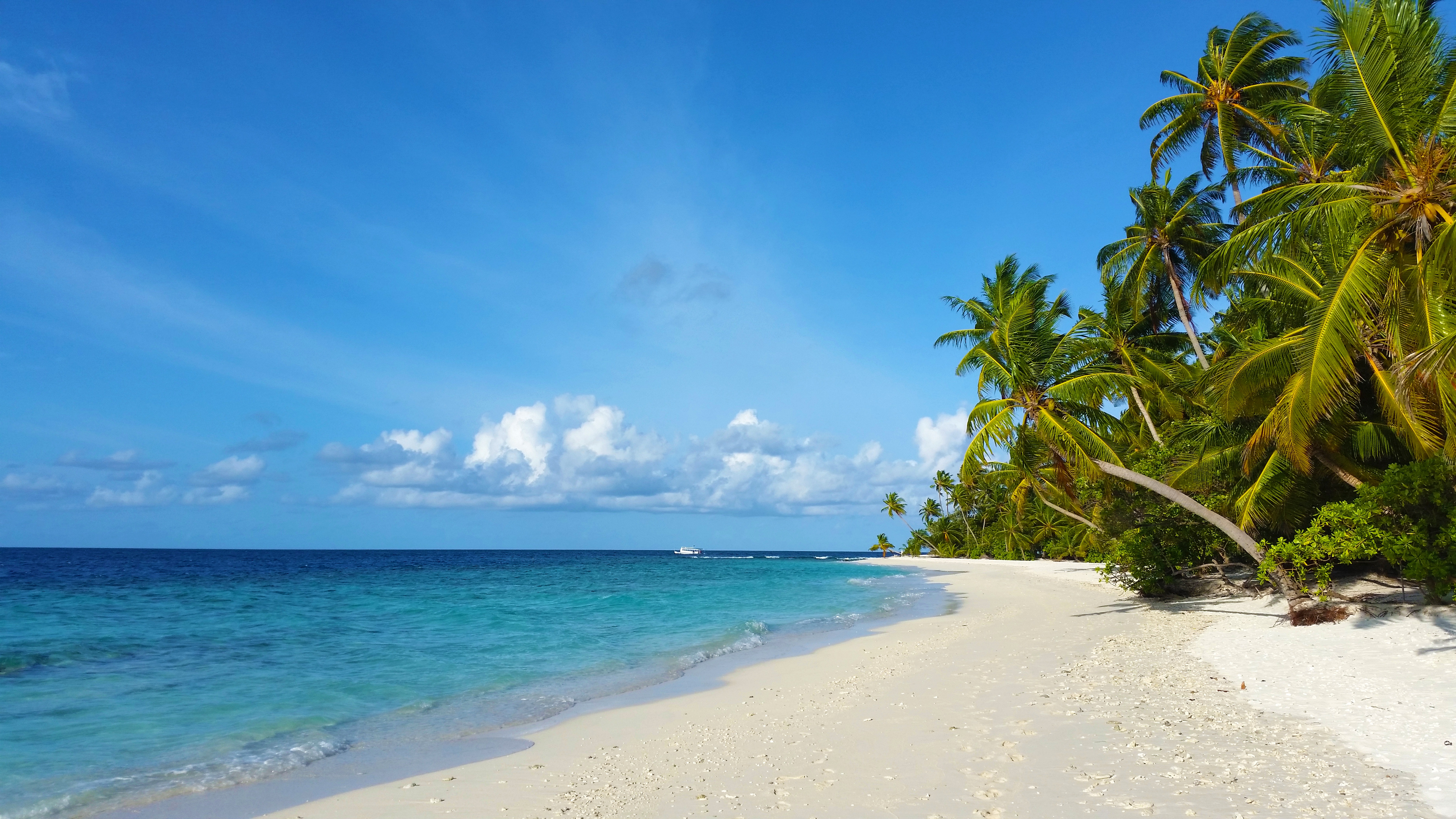 Море экзотика. Остров Баунти в Тайланде. Голубая Лагуна Саона Доминикана. Гавайи Мальдивы Карибы. Мальдивы Пальма Баунти.