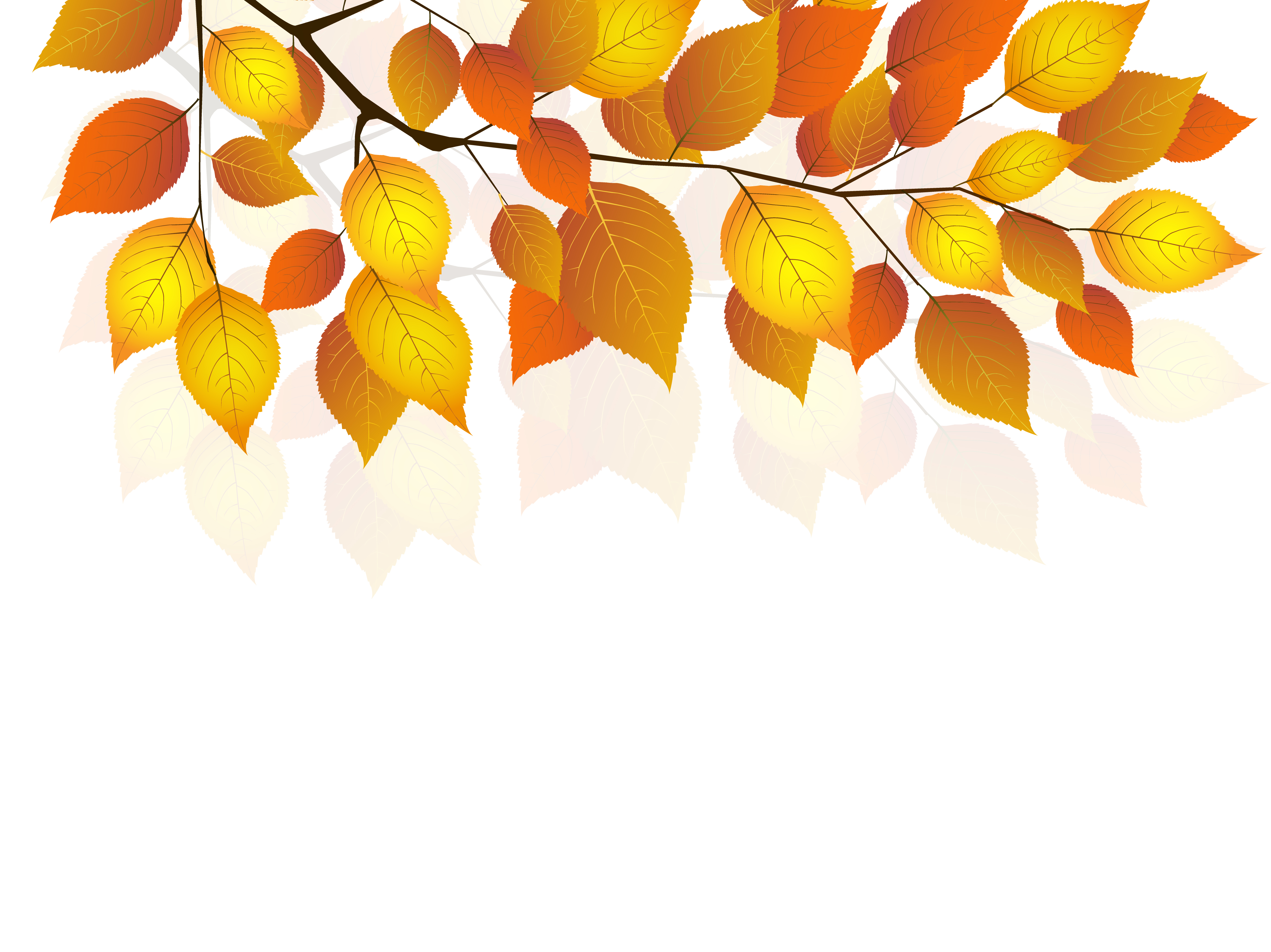 Ветка осенних листьев. Осенняя веточка. Осенние листочки. Осенние листья картинки. Фон для презентации осень.