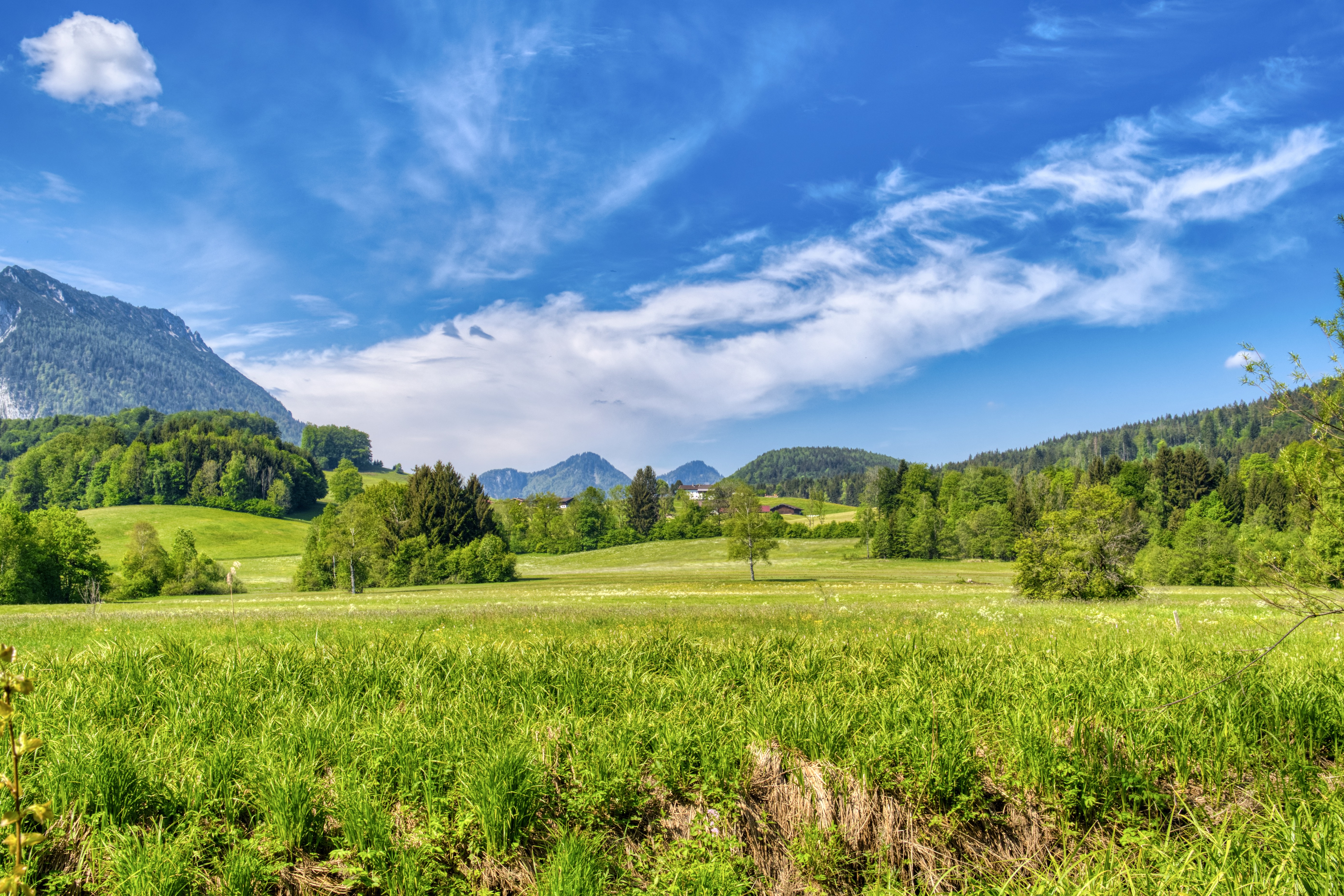 Поляна в горах. Альпийские Луга Германии. Альпийские Луга Бавария. Леса Германии Баварии. Бавария Германия леса и поля.