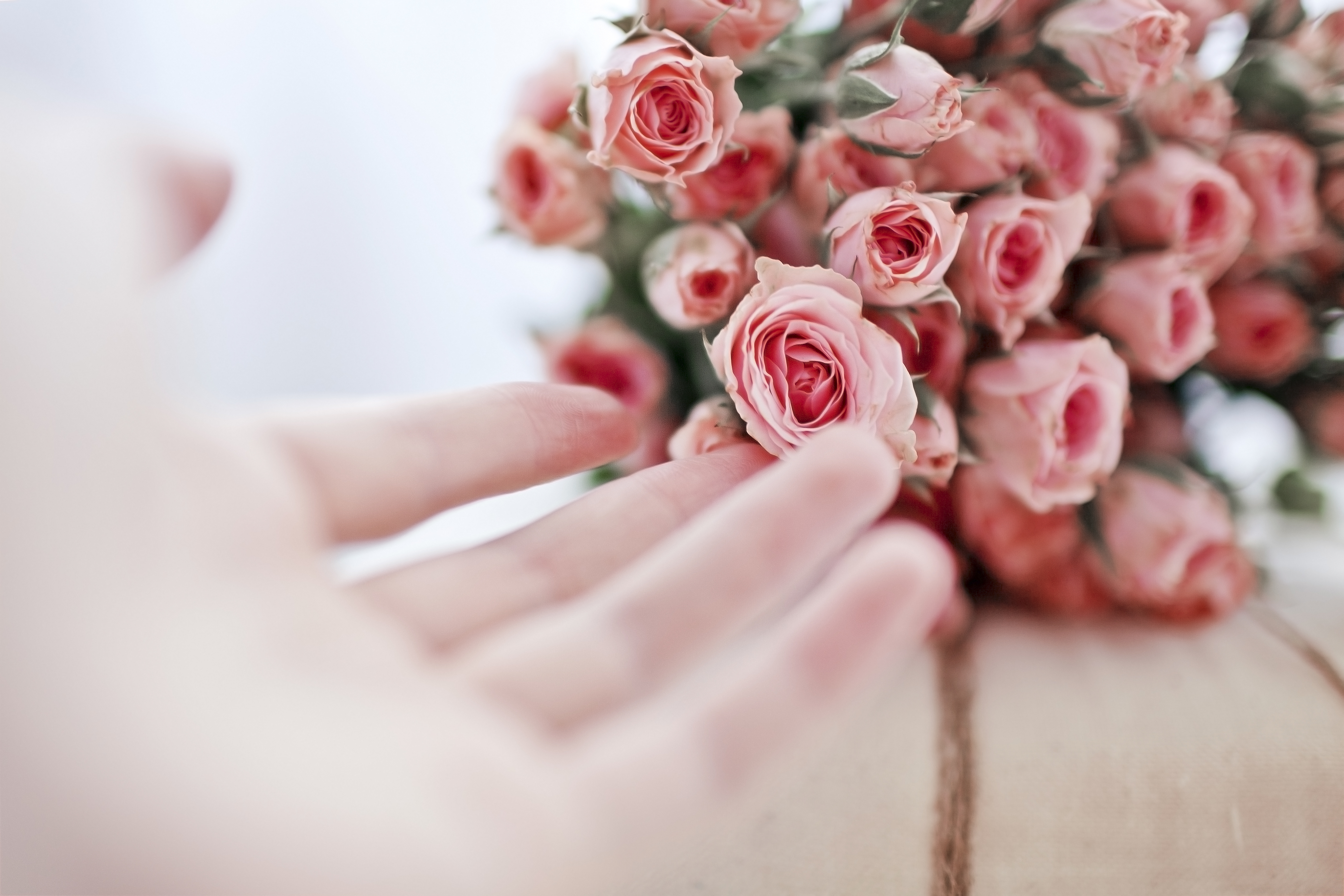 Песня держа в руках цветов букет. Розовый букет в руках. Нежные цветы в руках. Цветок на руку.. Розовые цветы в руках.