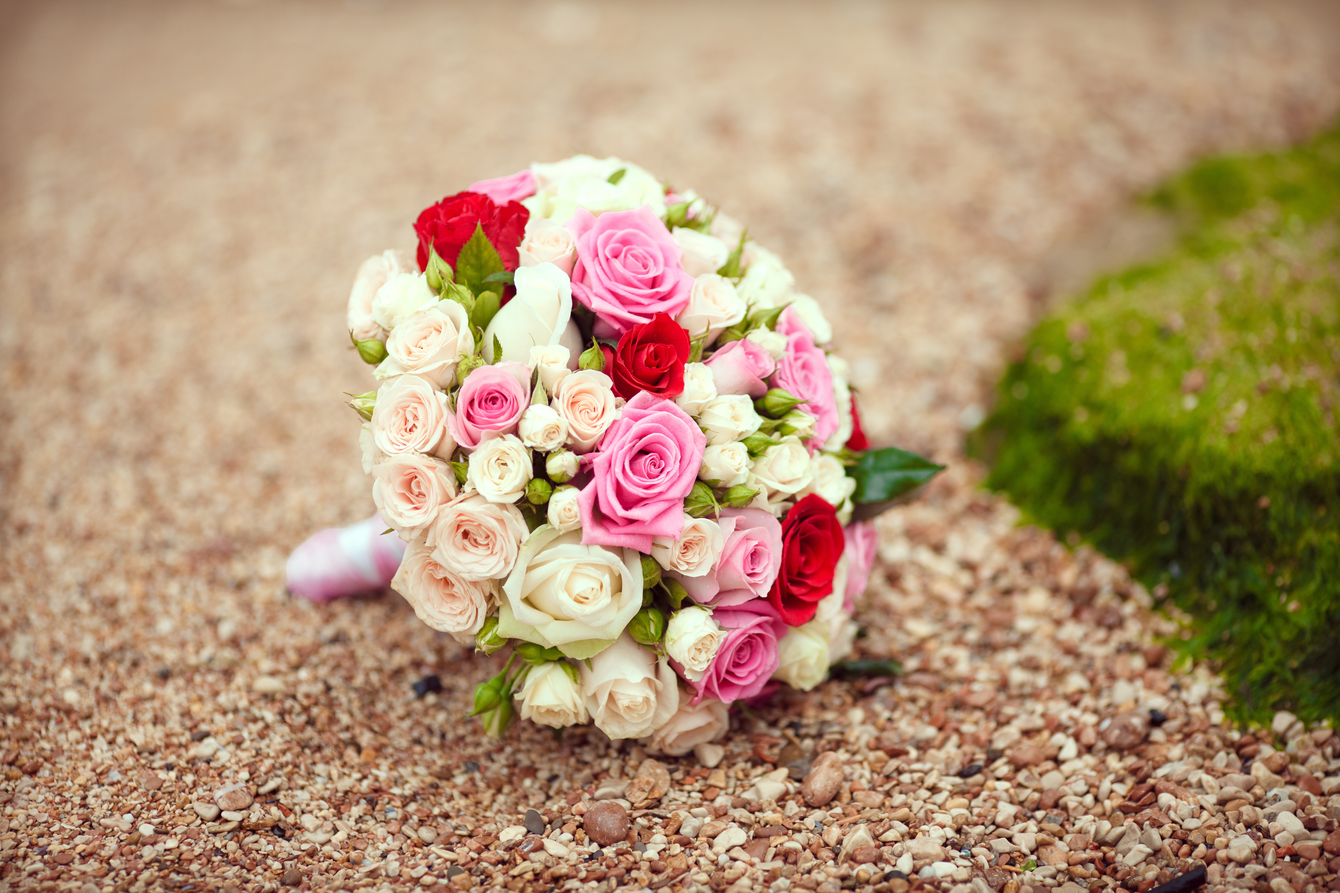 Маленький букет цветов роз. Кустовые пионовидные розы. Свадебный букет. Красивый свадебный букет. Красивые букеты из роз.