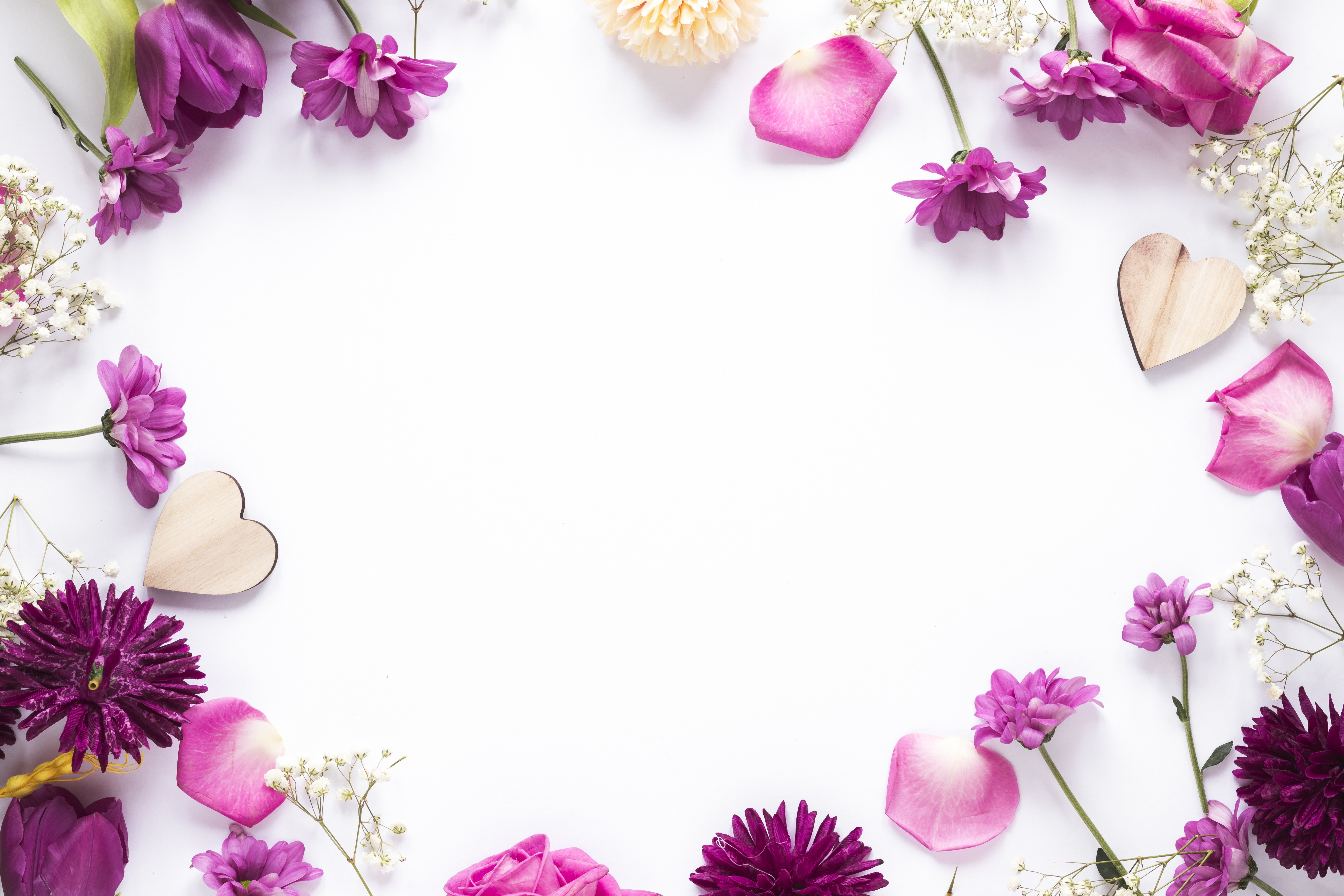 Premium Photo | Pink flowers with five petals as pattern for wallpaper  flowers