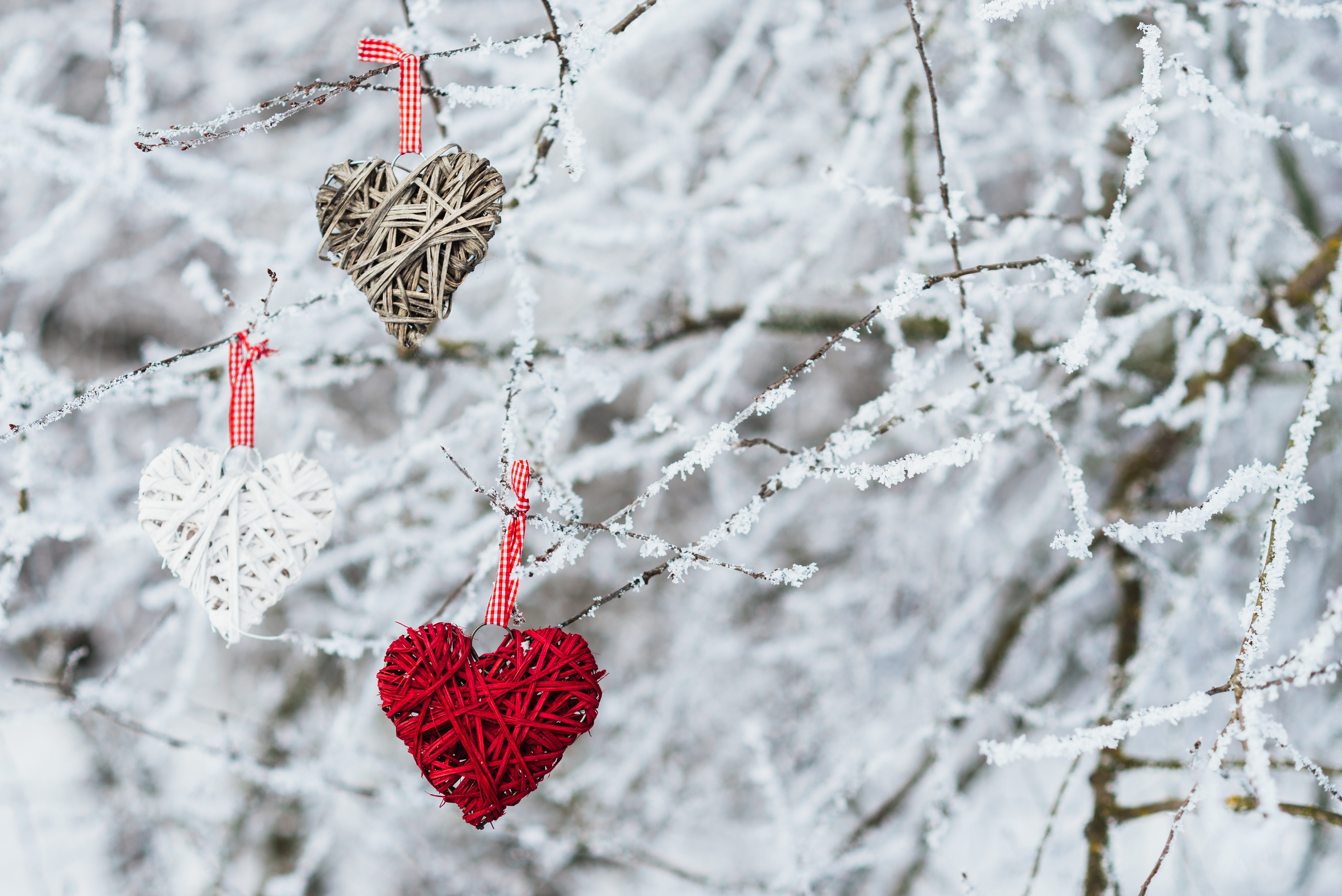 Зама сердце. Сердечко на снегу. Зимняя романтика. Зимние картинки красивые. Зимнее сердце.