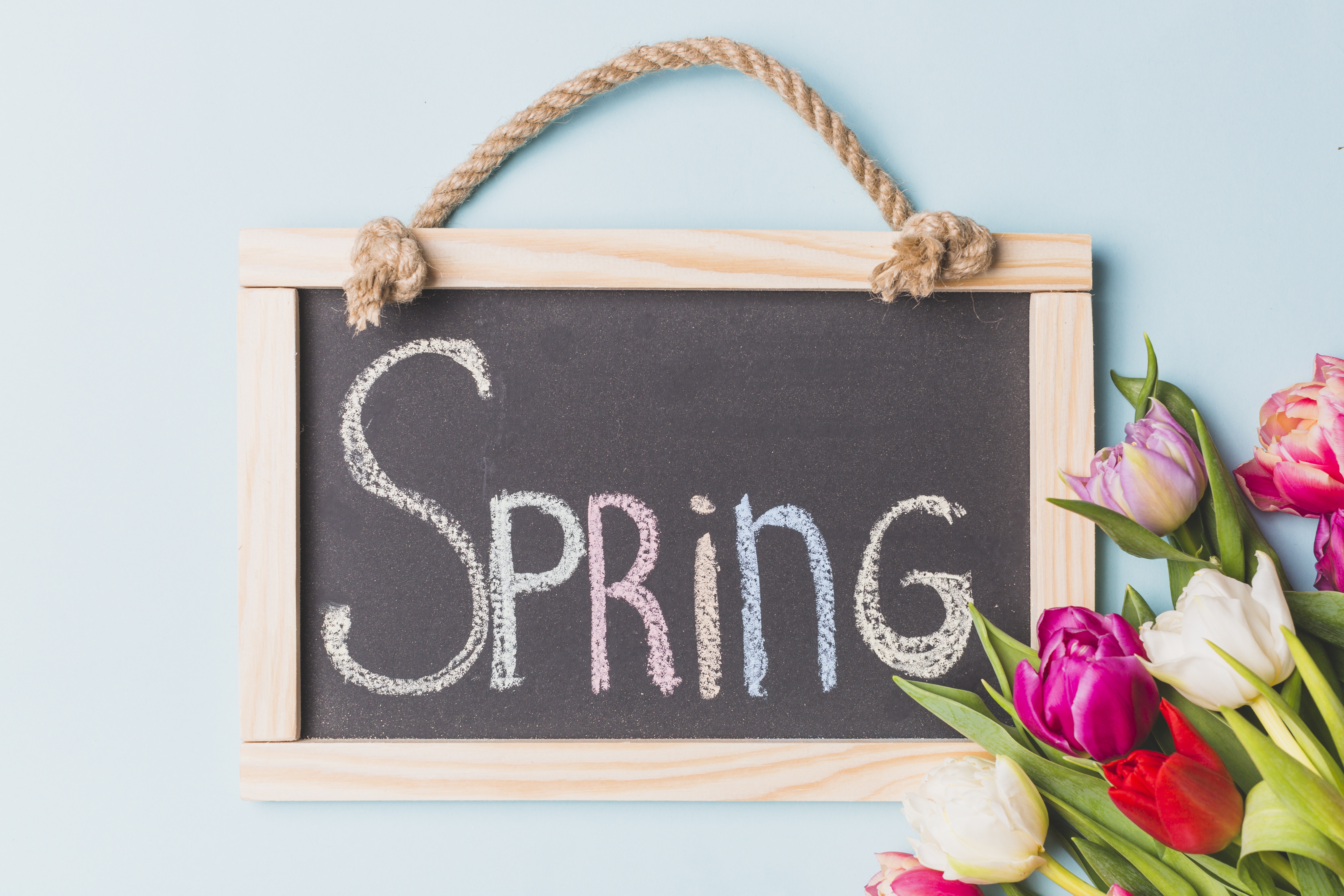 Spring is near. Фото баннер тюльпаны на доске валберис.