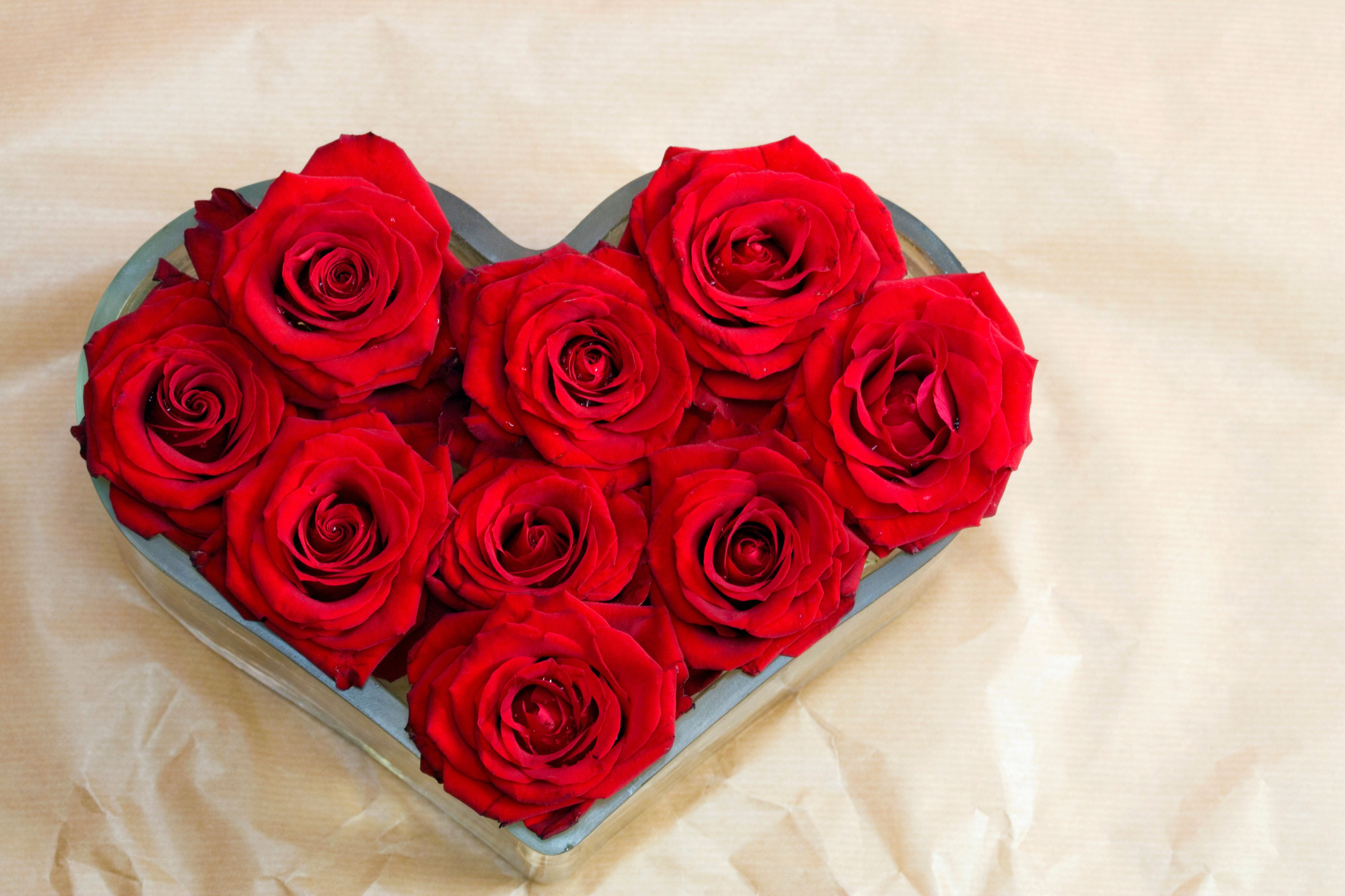 Кирмизи гуллар. Красные розы. Букет роз. Красивый букет роз. Букет красных роз.