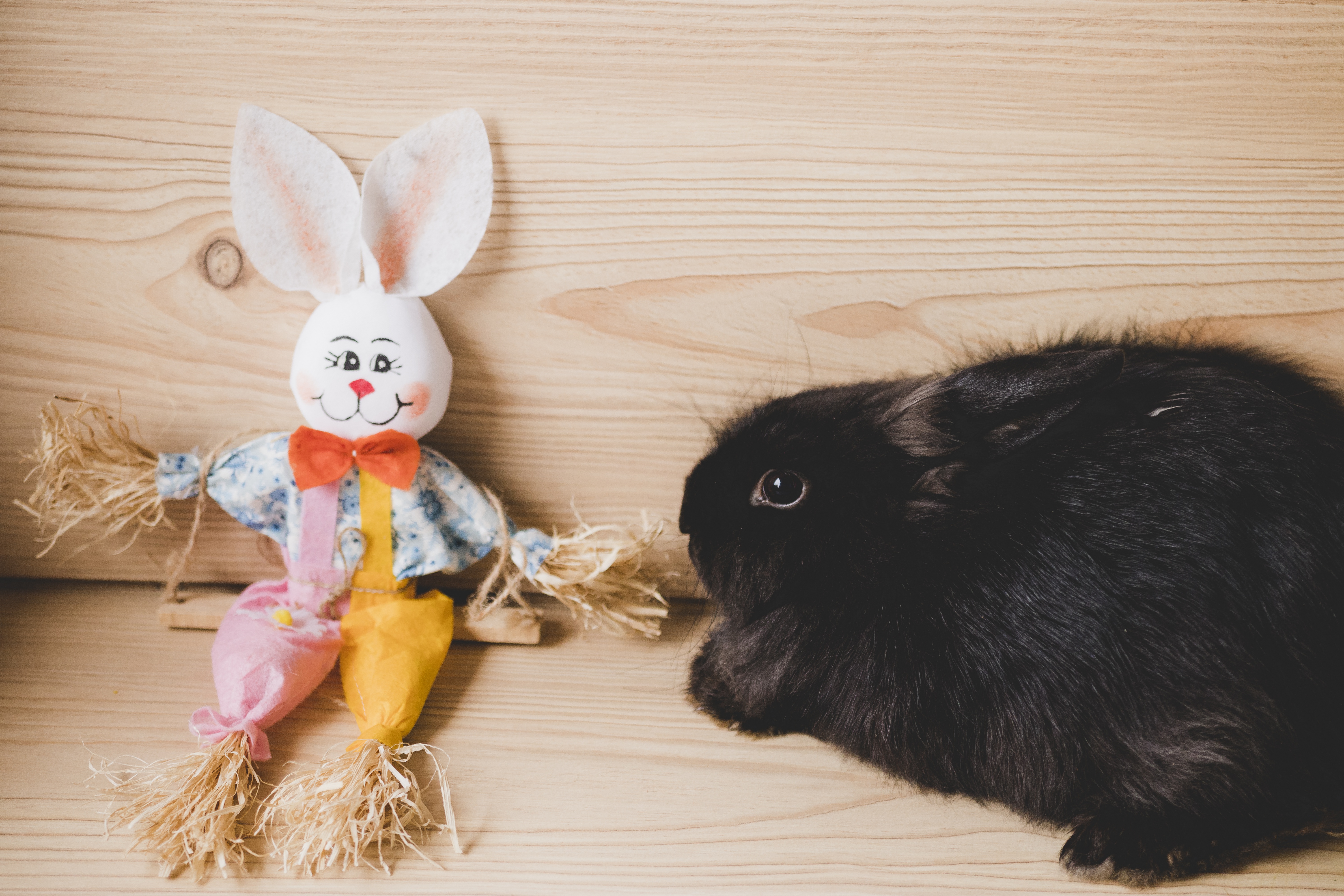 Кролик года жизни. Новогодний кролик. Черный кролик. Коллекция кроликов игрушки. Кролик своими руками на новый год.