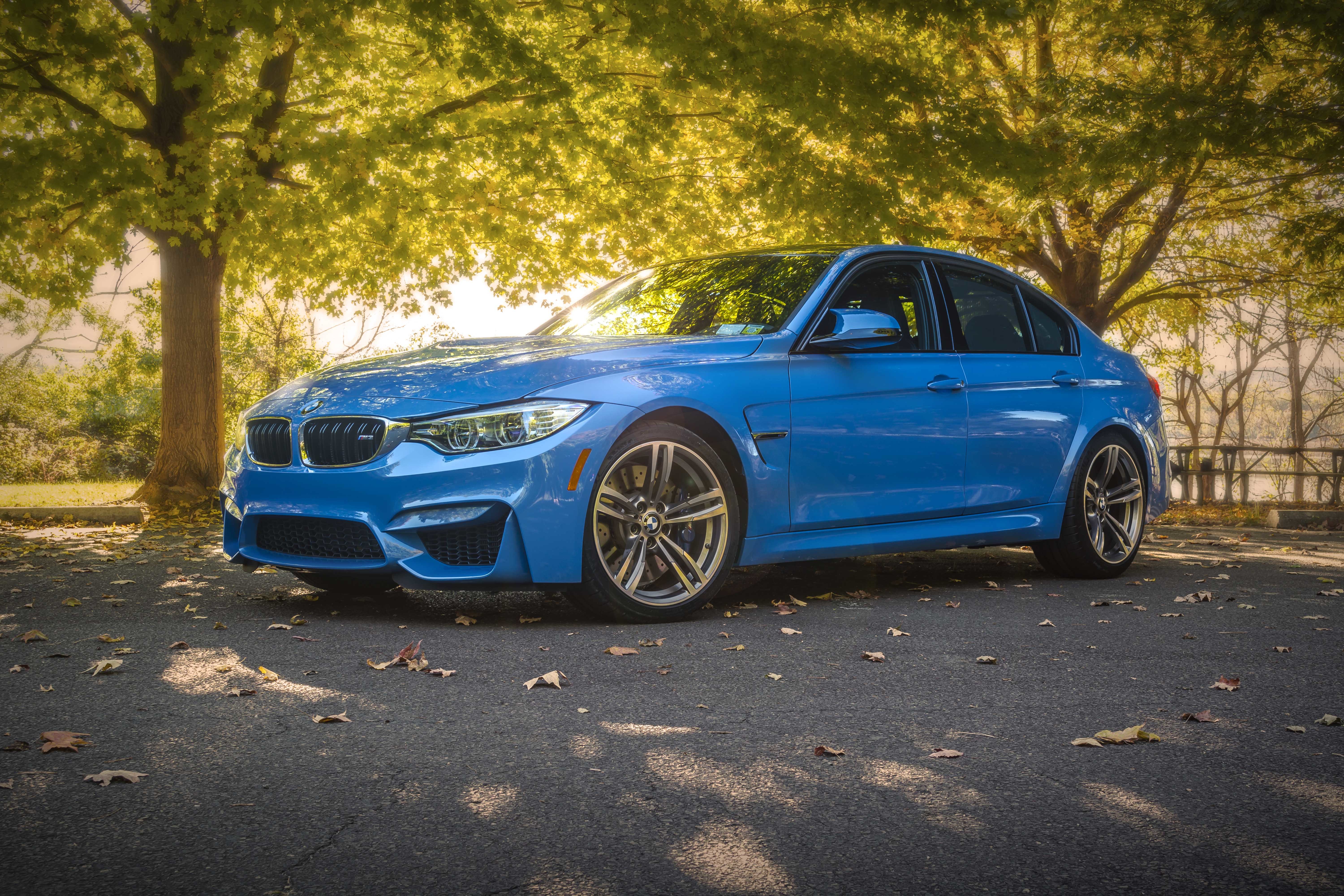 Фото бмв м3. BMW m3 ф80. BMW m3 f80. BMW m3 f80 Blue. BMW f80 синяя.