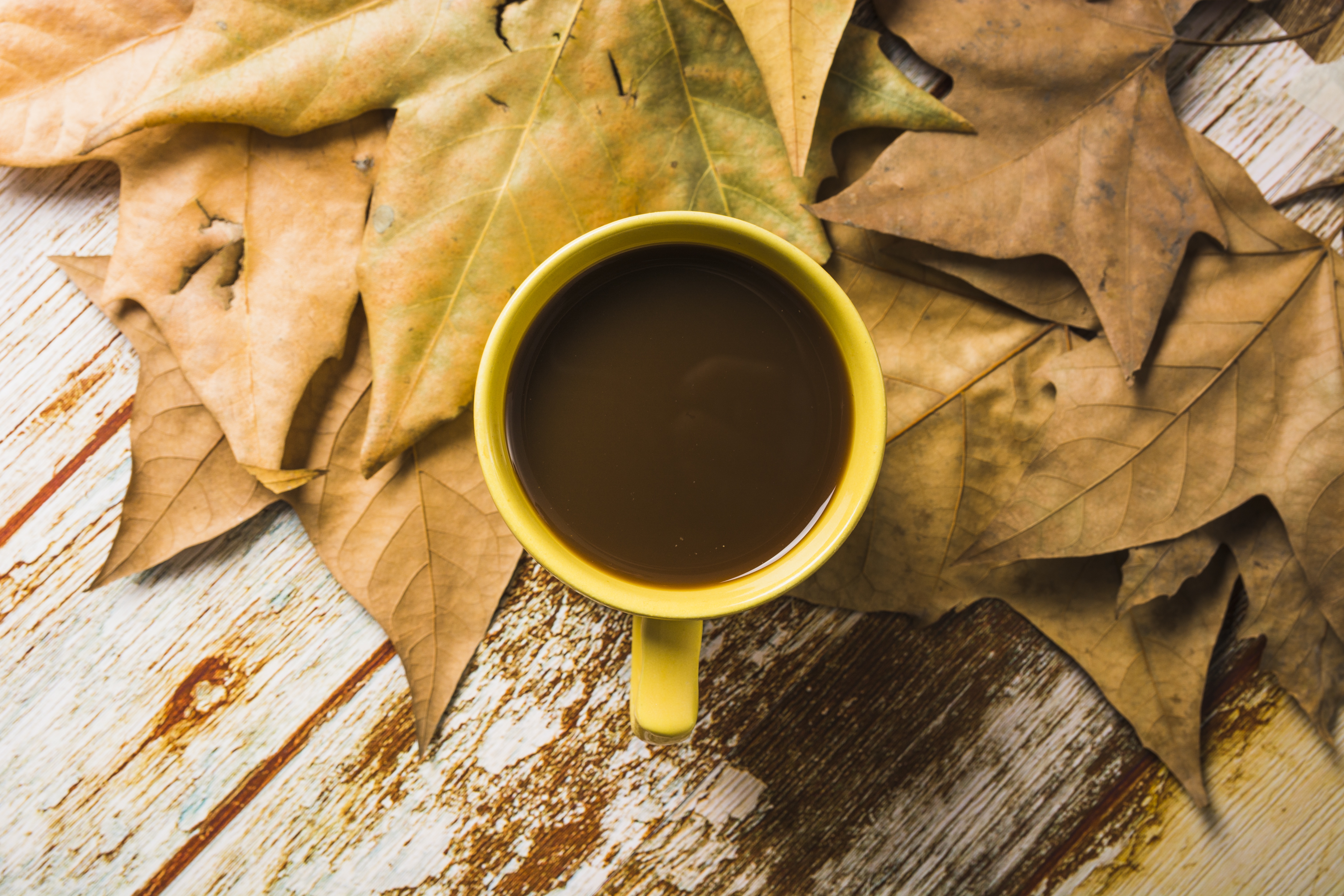 Осеннее кофе. Осень кофе. Листья кофе. Кофе осенью. Кофе осень листья.