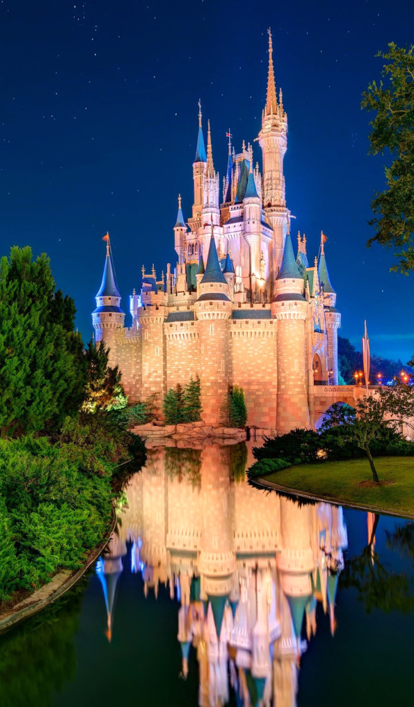 Download wallpaper the sky, stars, trees, Park, river, USA, Disneyland ...