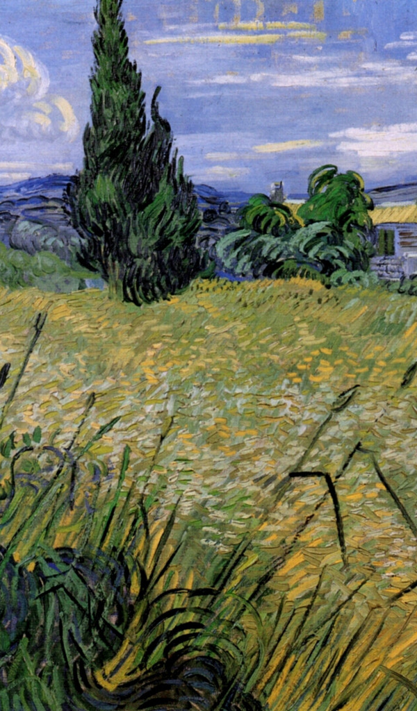 Download wallpaper with Cypress Wheat Field Vincent van Gogh Green