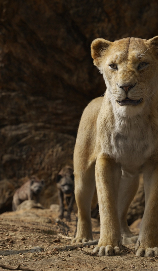 Download wallpaper lioness, The Lion King, The Lion King, hyenas, Nala ...