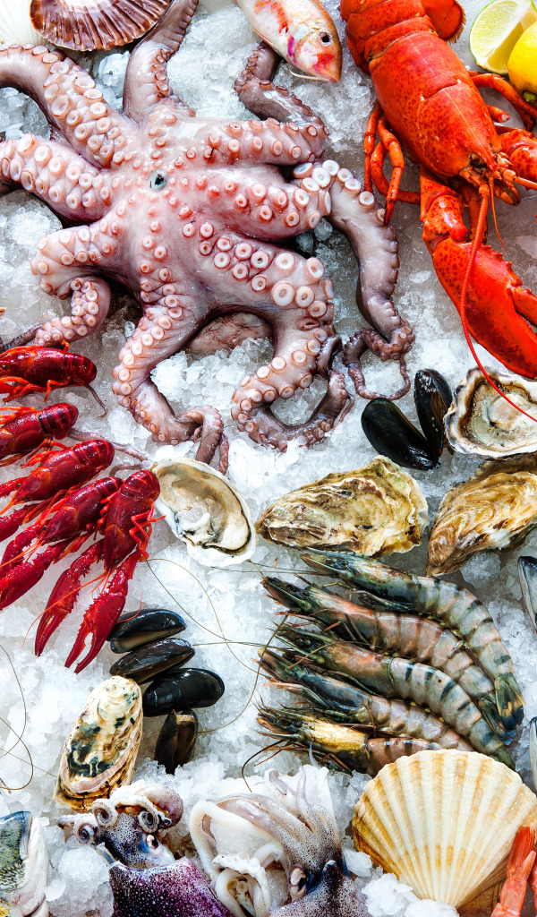 Download wallpaper ice, Different types of seafood, white meats ...