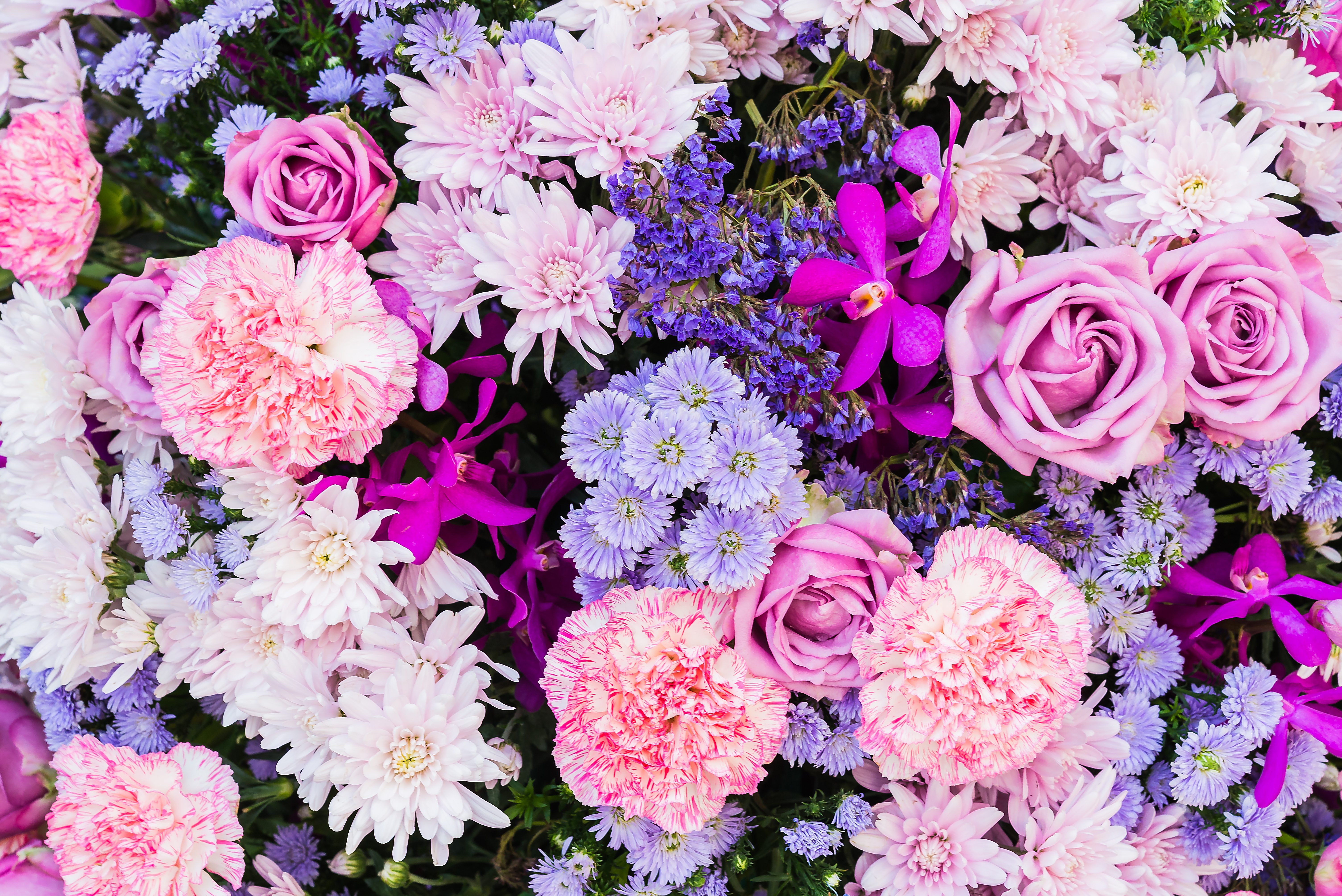 Много цветов на столе. Пионовидные хризантемы. Розы пионы хризантемы. Пион голубая Хризантема. Хризантемы розовые пионовидные.