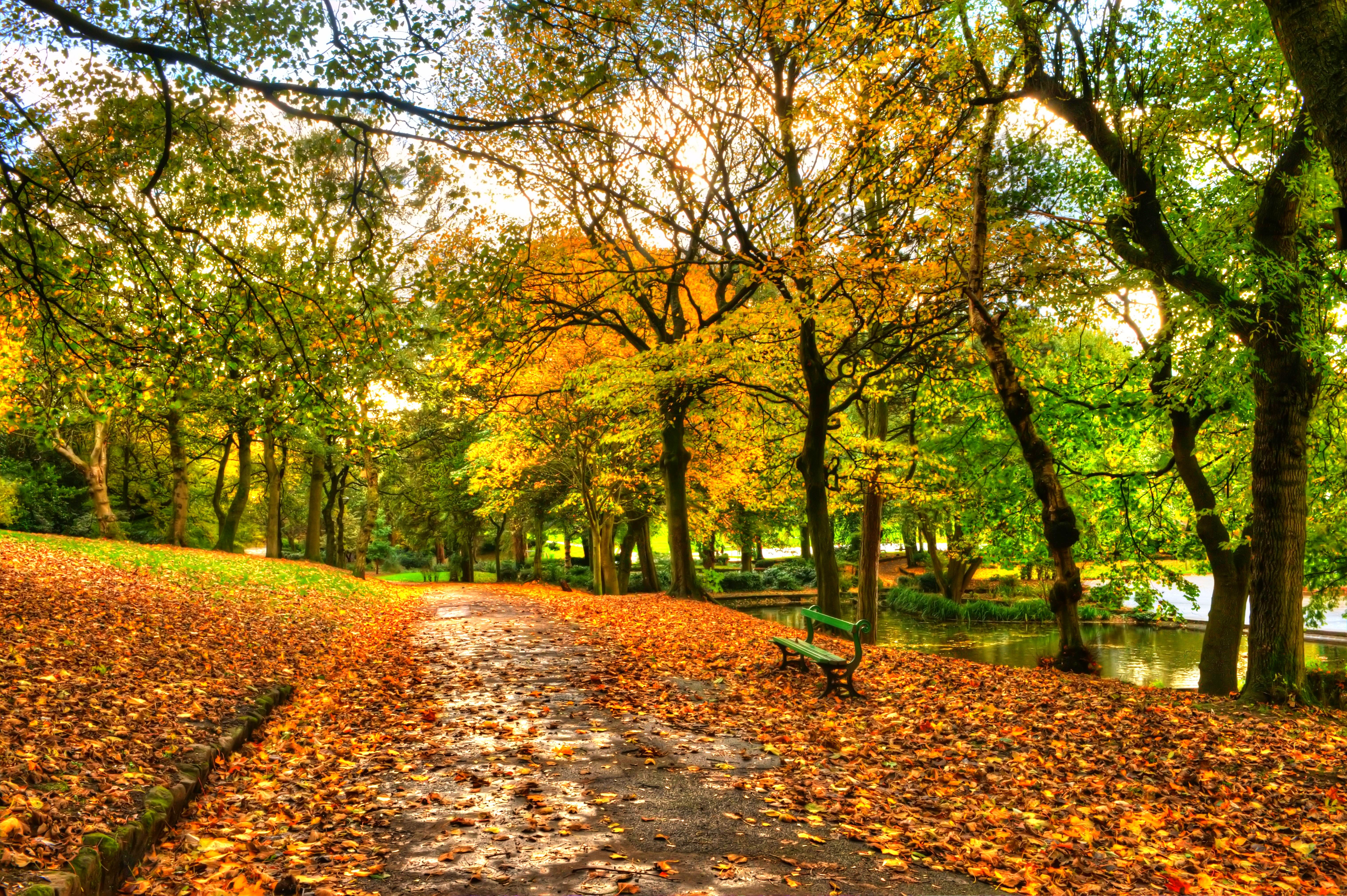 Куз 2. Осенний парк. Осень в парке. Парк осенью. Ранняя осень.