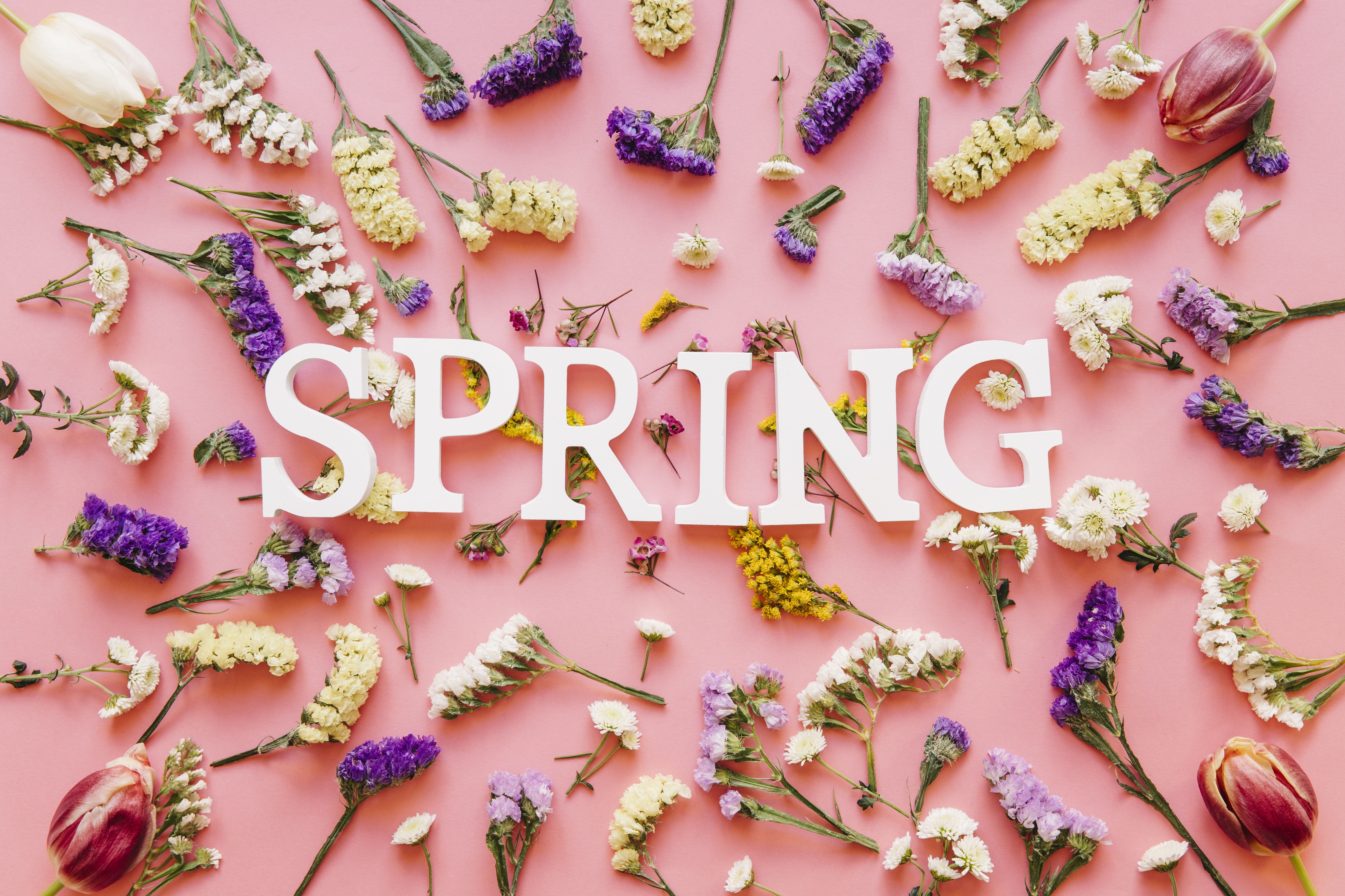 Первый день весны открытки стильные. Spring надпись.