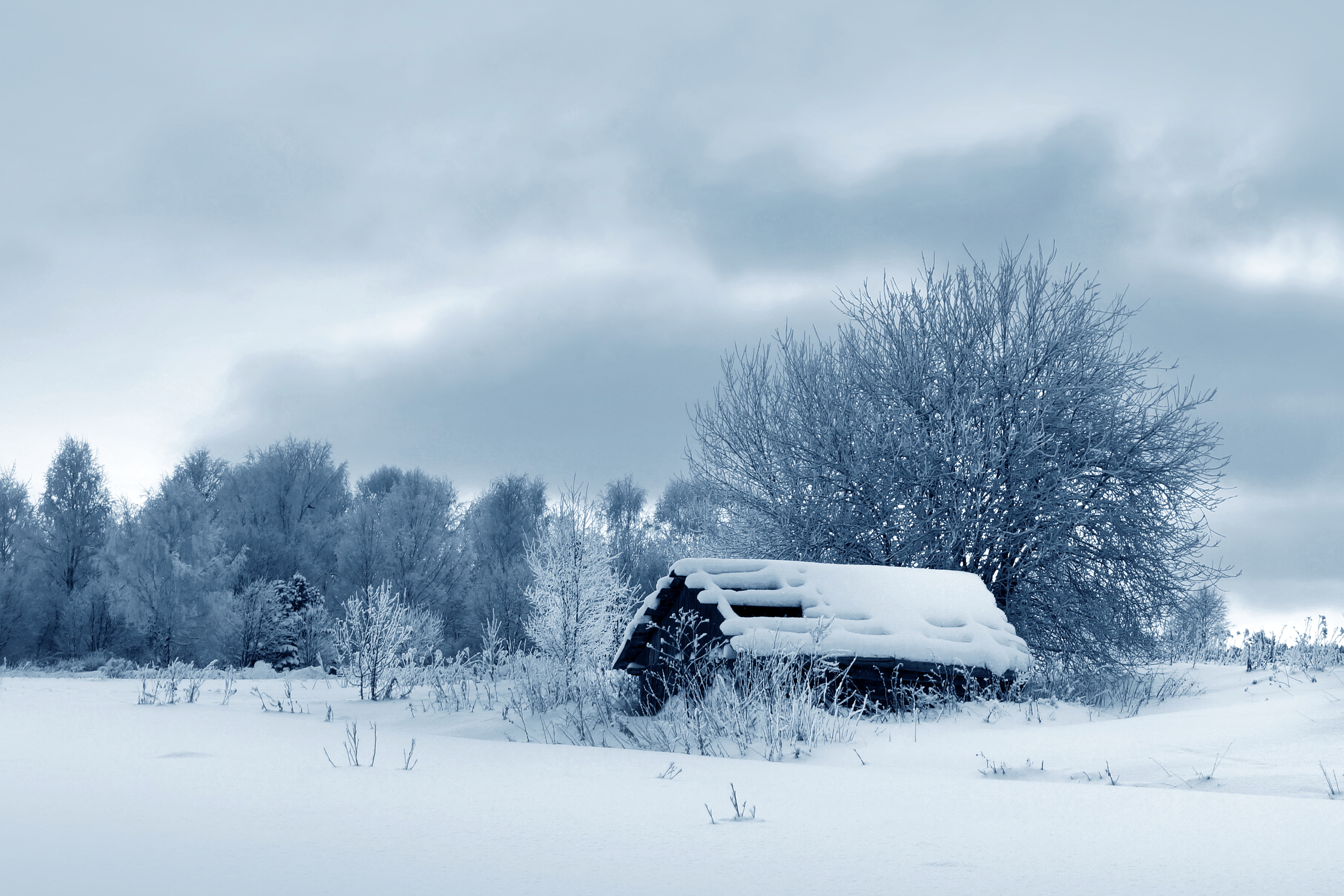 Snowfall. Хмурая зима. Деревня в снегу. Зимний пасмурный пейзаж. Снег.