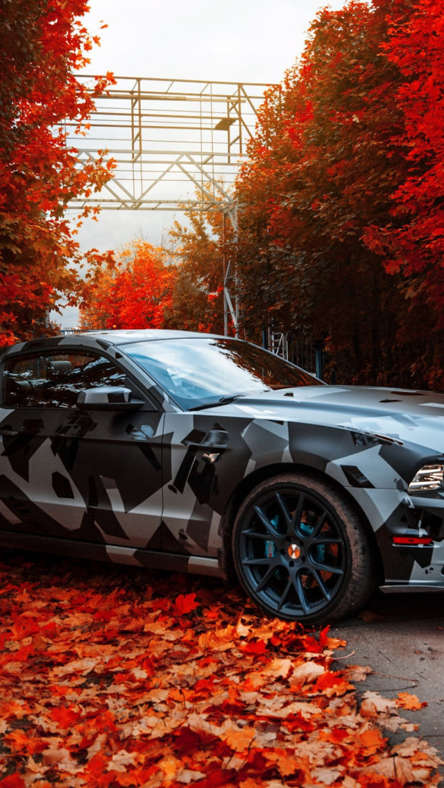 Download wallpaper Mustang, Autumn, Leaves, Red, Skyline, Future, True ...