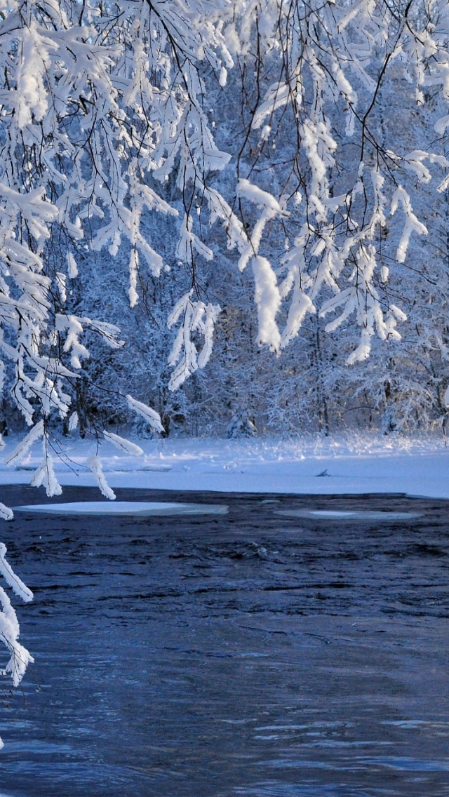 Сильный утренний мороз сковал ручьи. Зимняя река. Река зимой. Зима снег. Февраль природа.