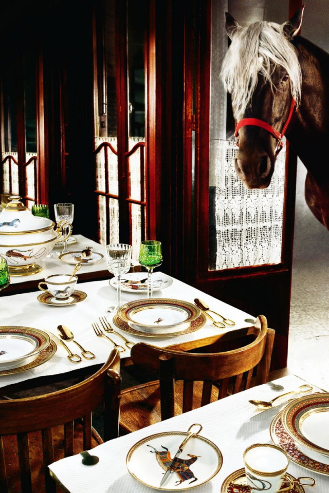 Download wallpaper table, Horse, restaurant, section animals in