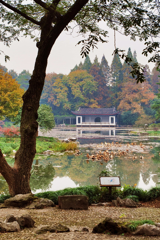 Download wallpaper grass, trees, pond, stones, garden, China, the ...