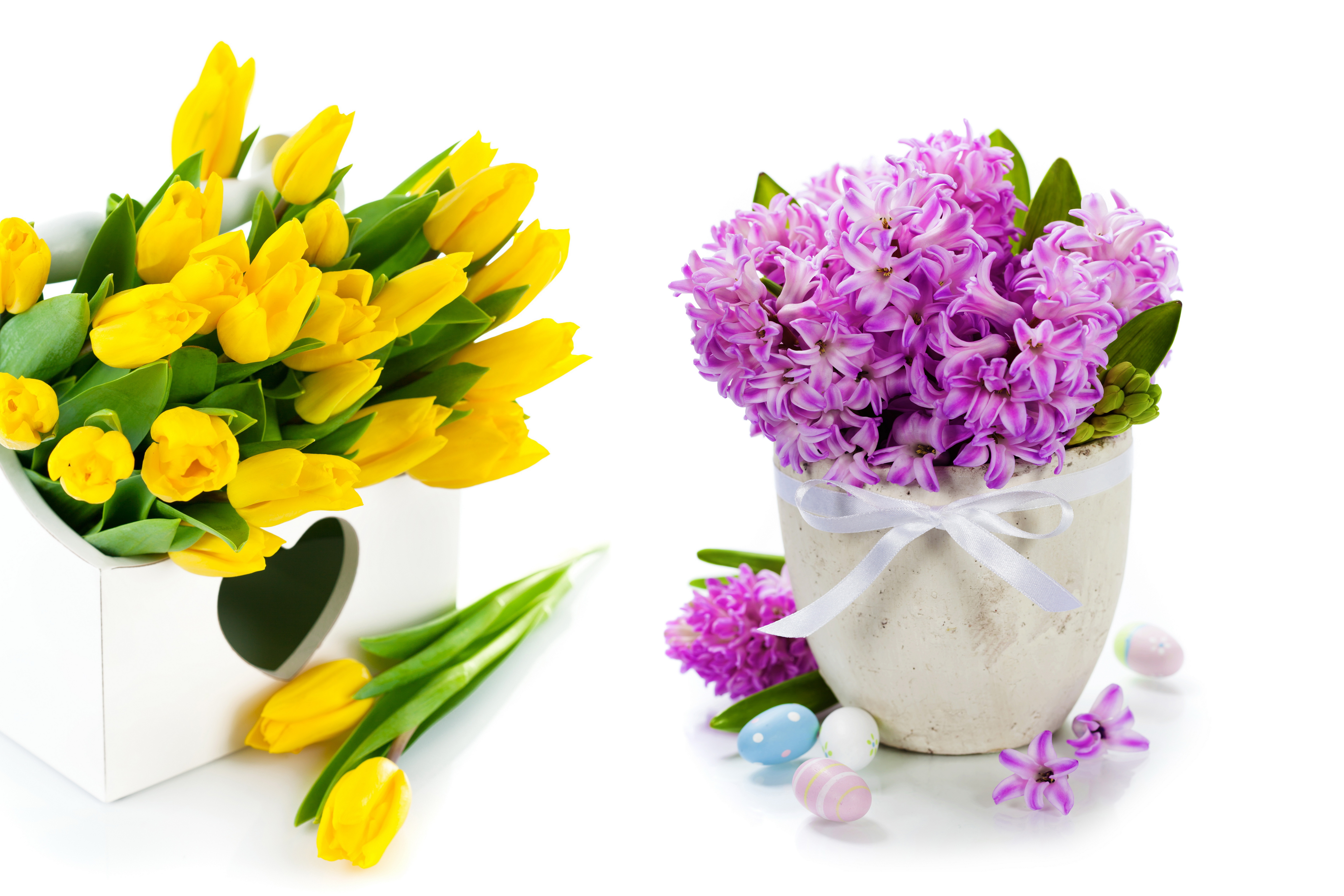 С днем рождения открытки с весенними цветами. Гиацинт спринг микс. Тюльпаны и гиацинты. Букет "гиацинты и тюльпаны". Весенний букет с гиацинтами.