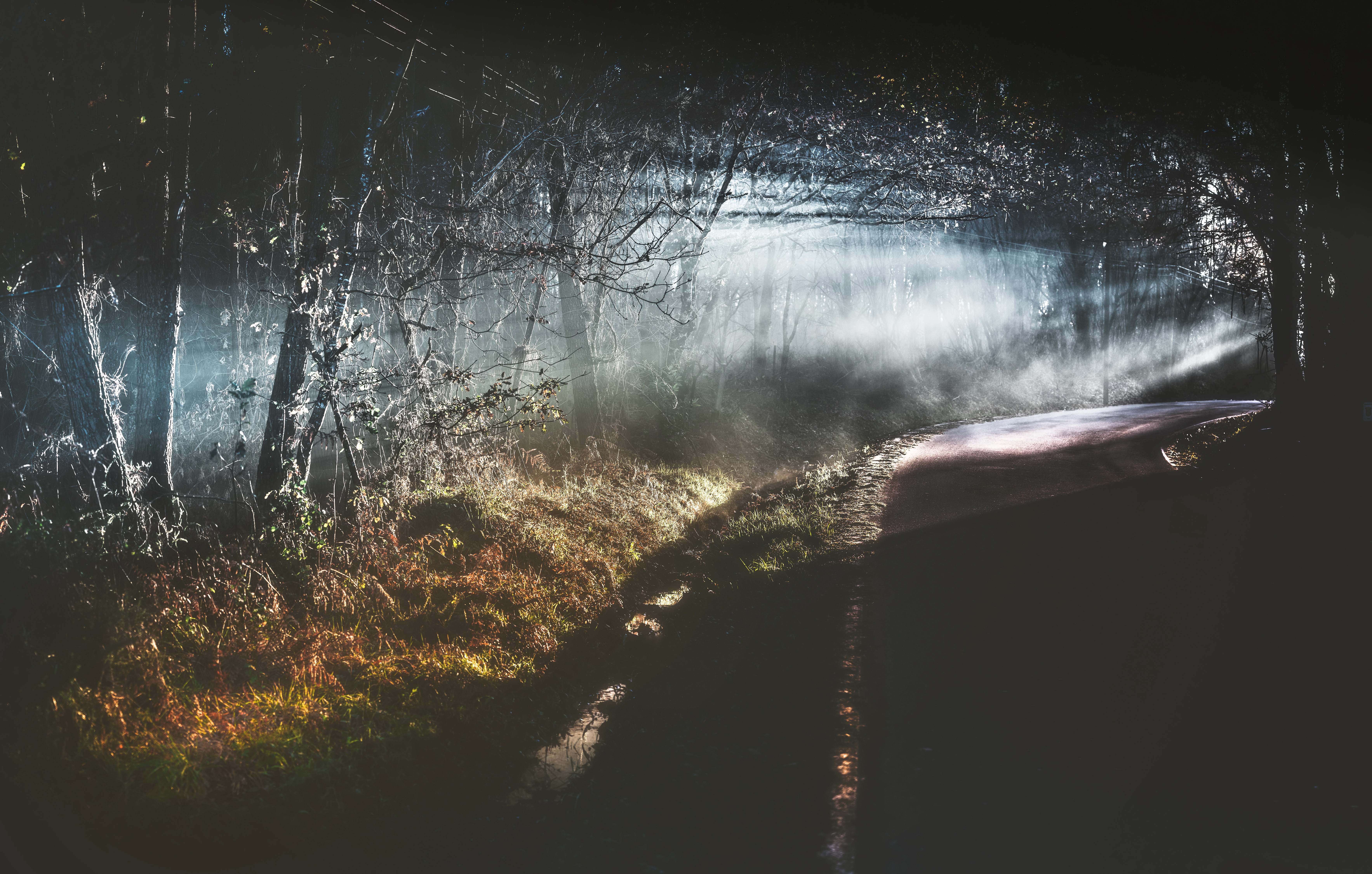 Дождь в лесу стих. Туман ночью. Дождь в лесу ночью. Дорога в лесу. Дорога в тумане.