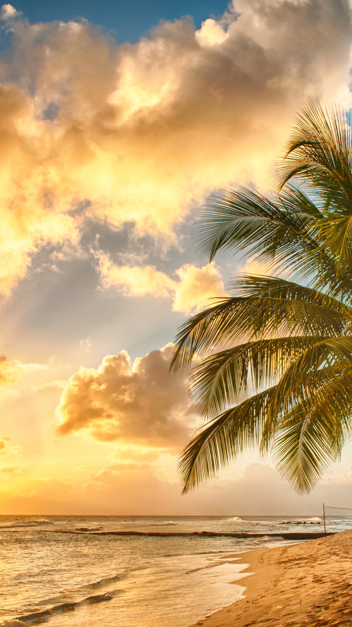 Download Wallpaper Sand Sea Beach Sunset Tropics Palm Trees Shore