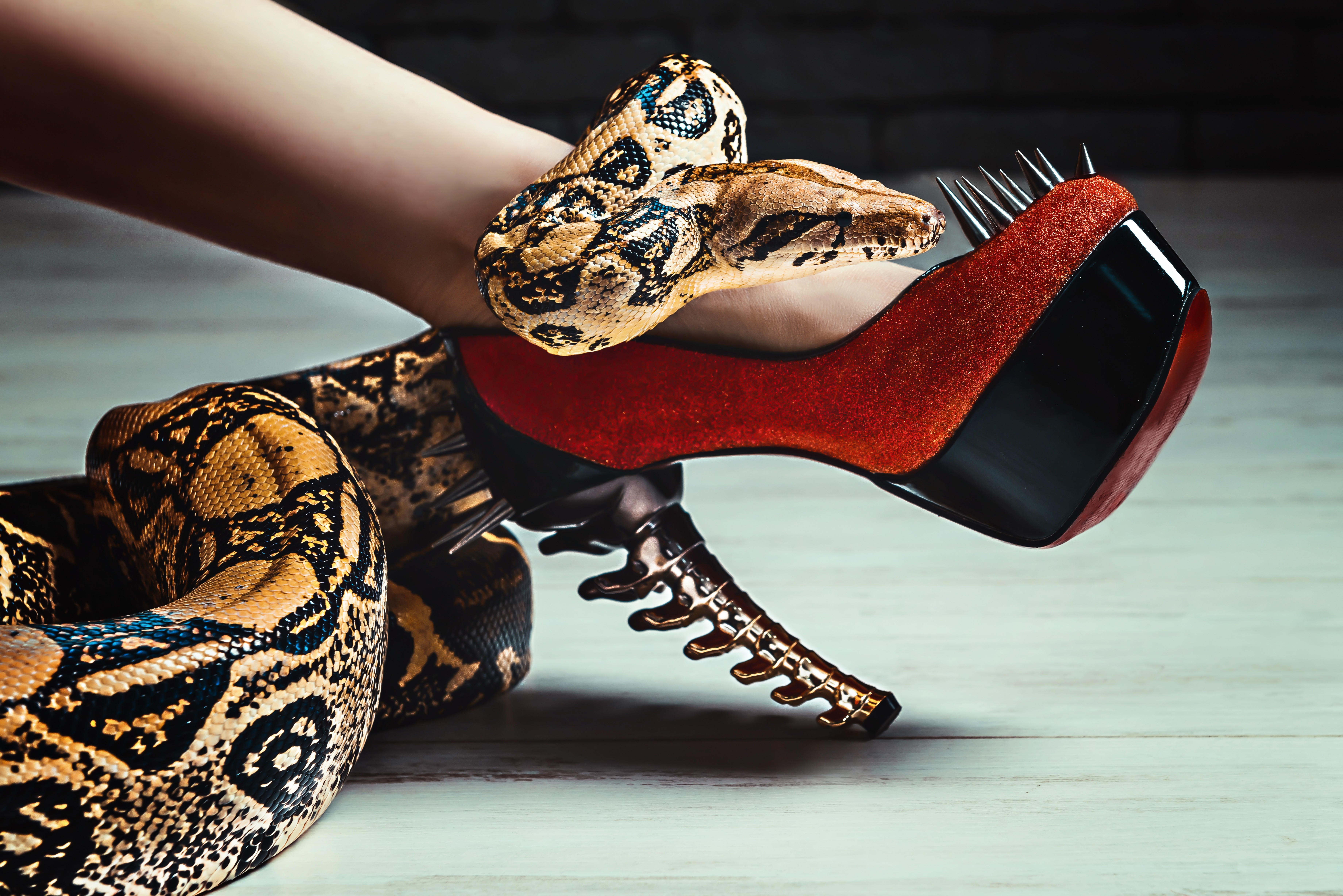 Змеи под ногами. Туфли со змеей. Туфли змеиная кожа. Необычные туфли. Туфли кобры.