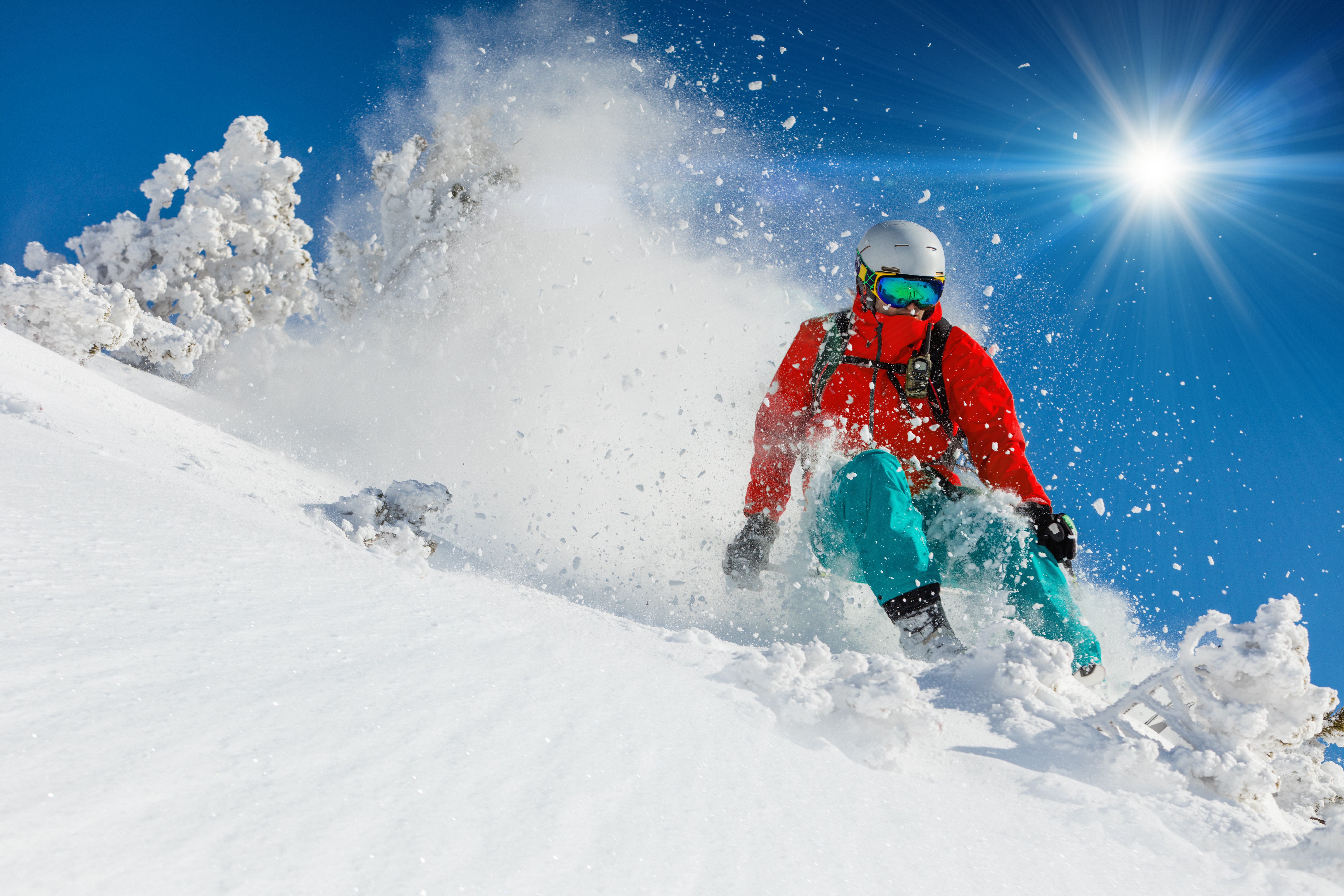 Ostrich Snow Skiing